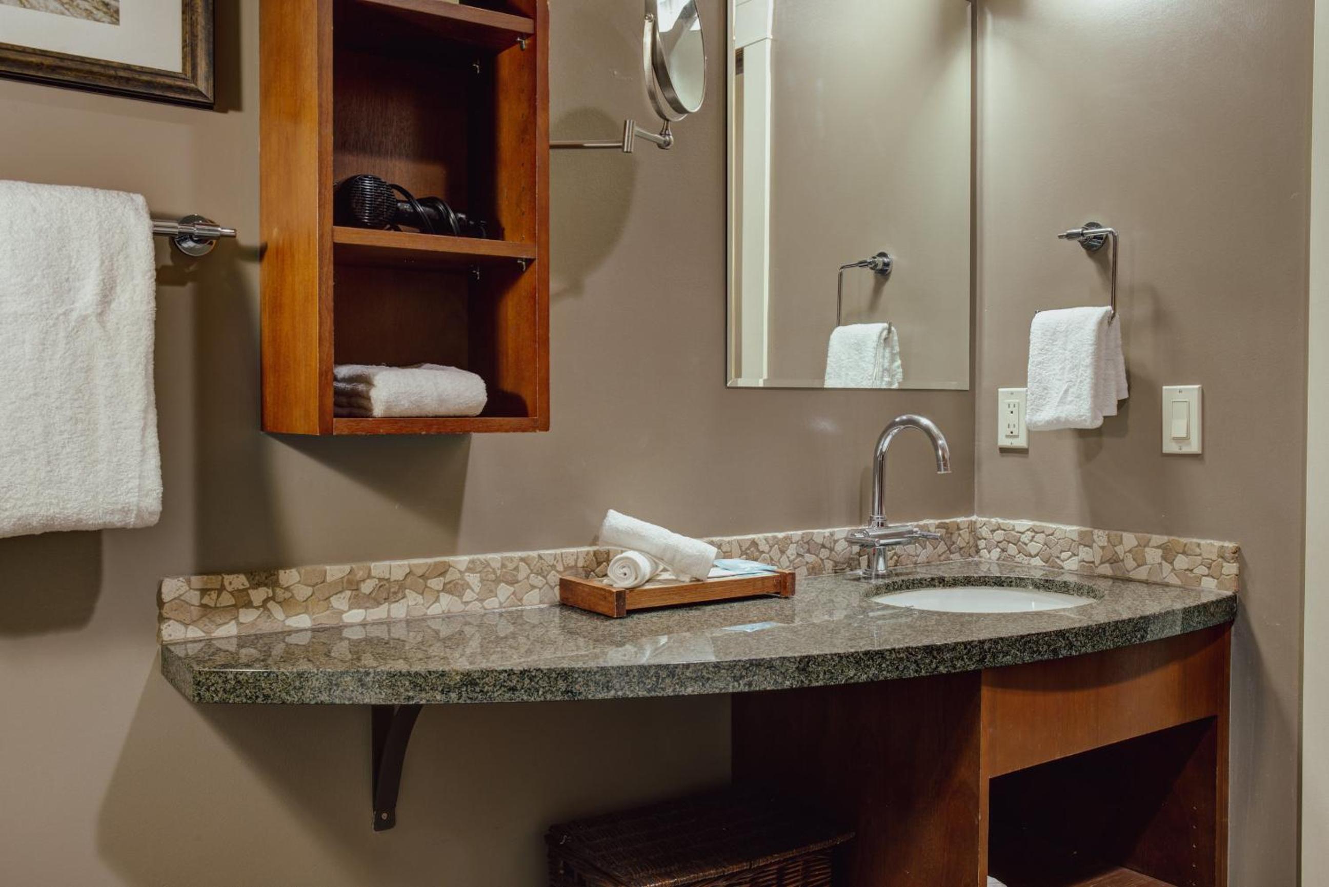 Panoramic Mountain View Condo