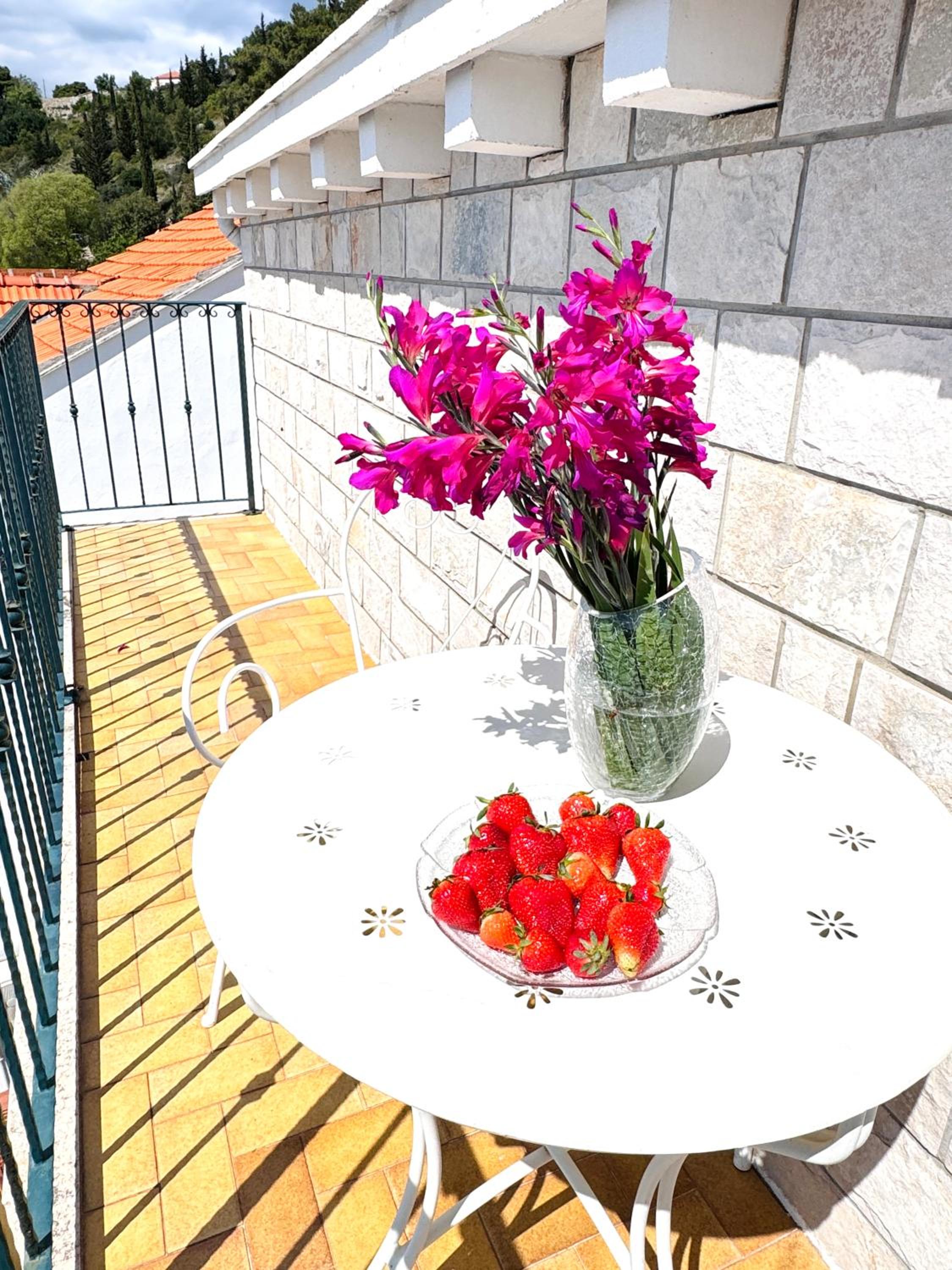 Dalmatian House, spacious stone terraces, balcony , views