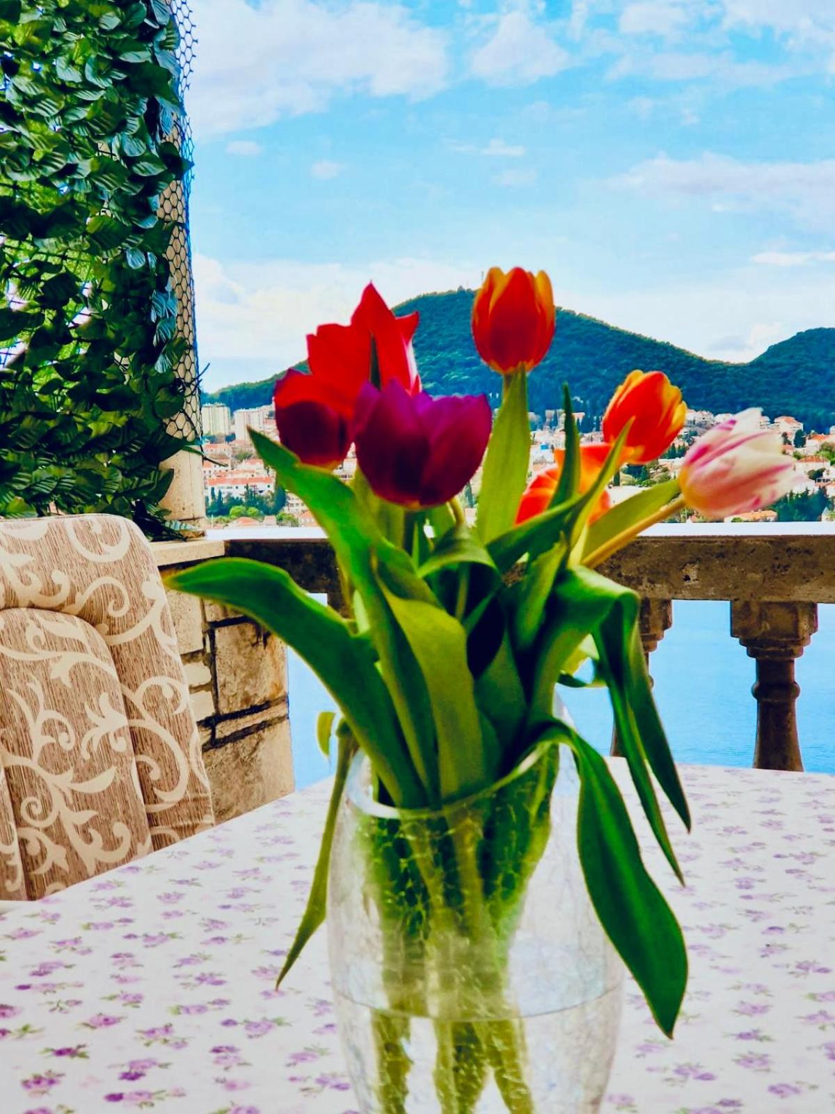 Dalmatian House, spacious stone terraces, balcony , views