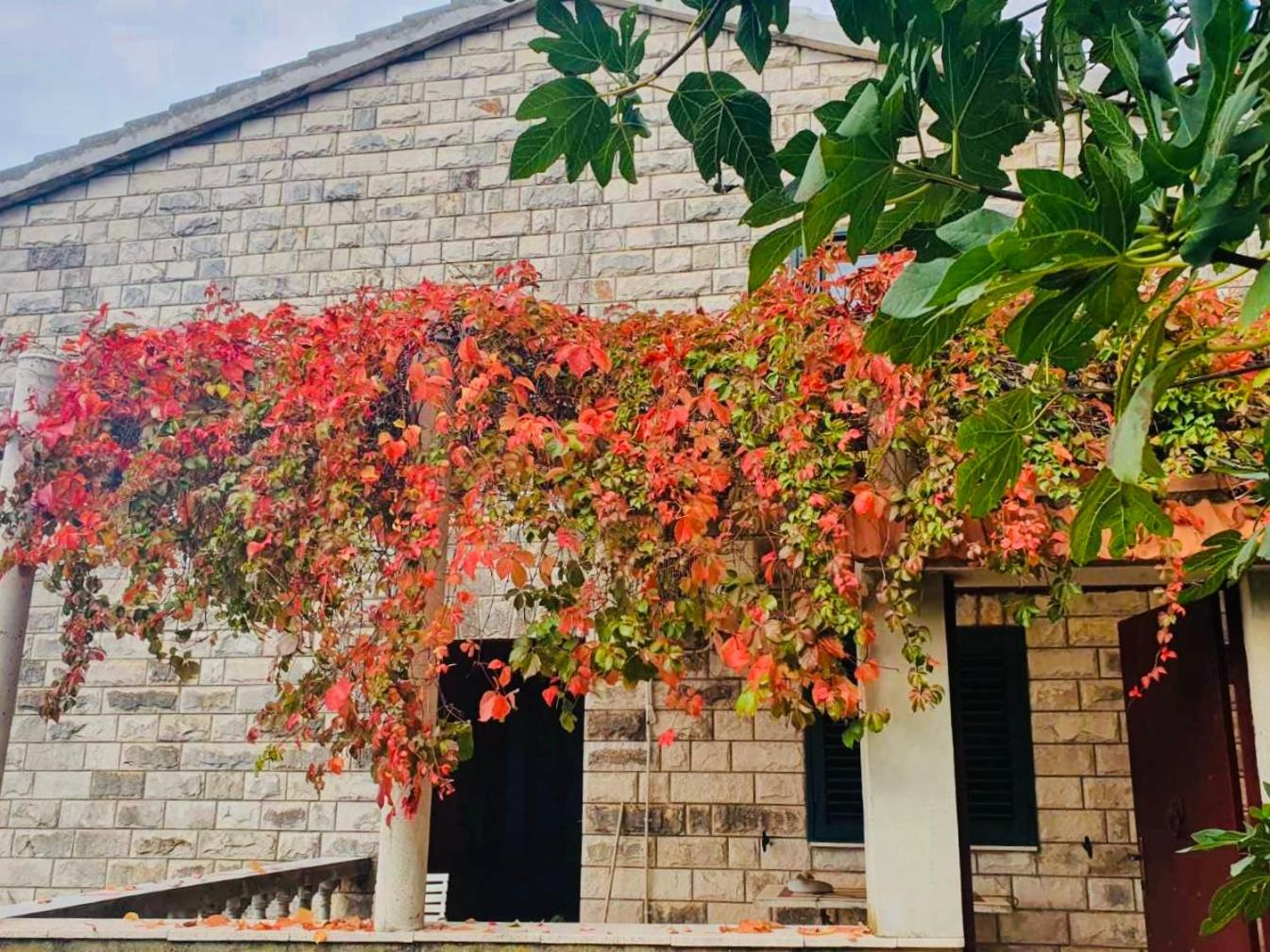 Dalmatian House, spacious stone terraces, balcony , views