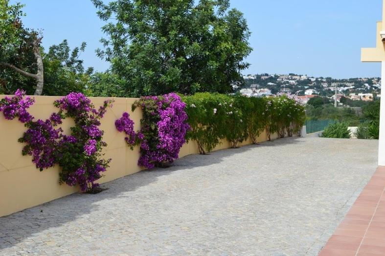 Almancil Vacations - Villa Luna - Property Image 8