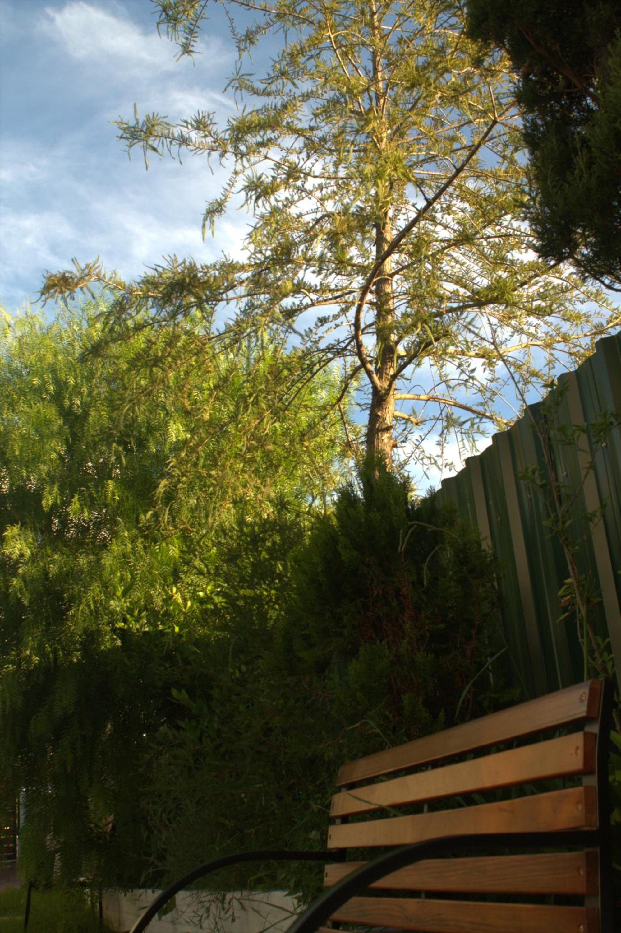 Photo 33