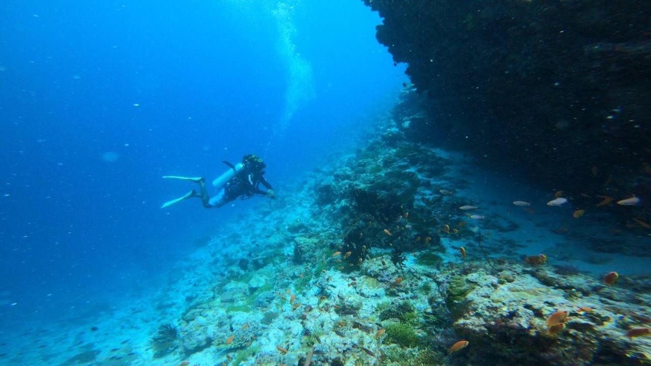 Getaway Divers Lodge - All inclusive Diving hotel with 2 dives per day photo 4