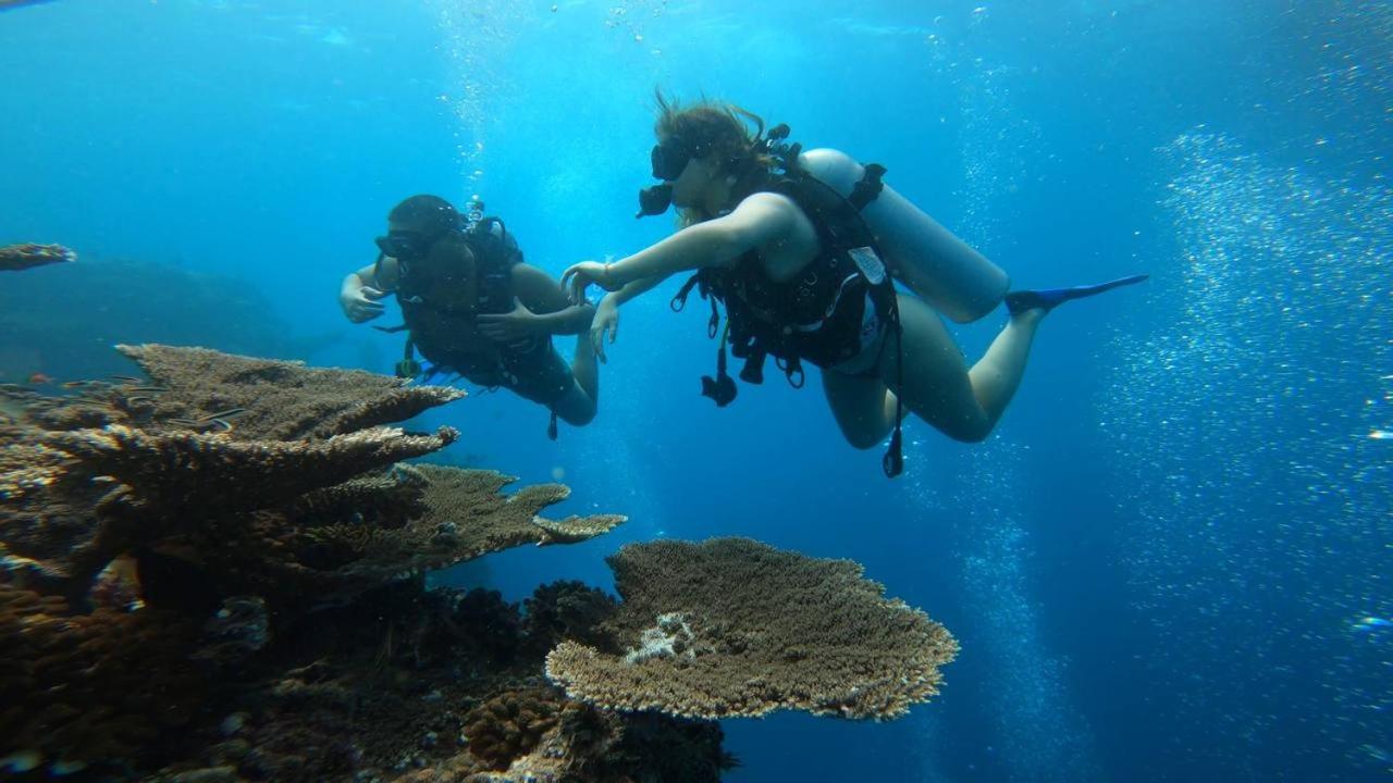 Getaway Divers Lodge - All inclusive Diving hotel with 2 dives per day photo 5