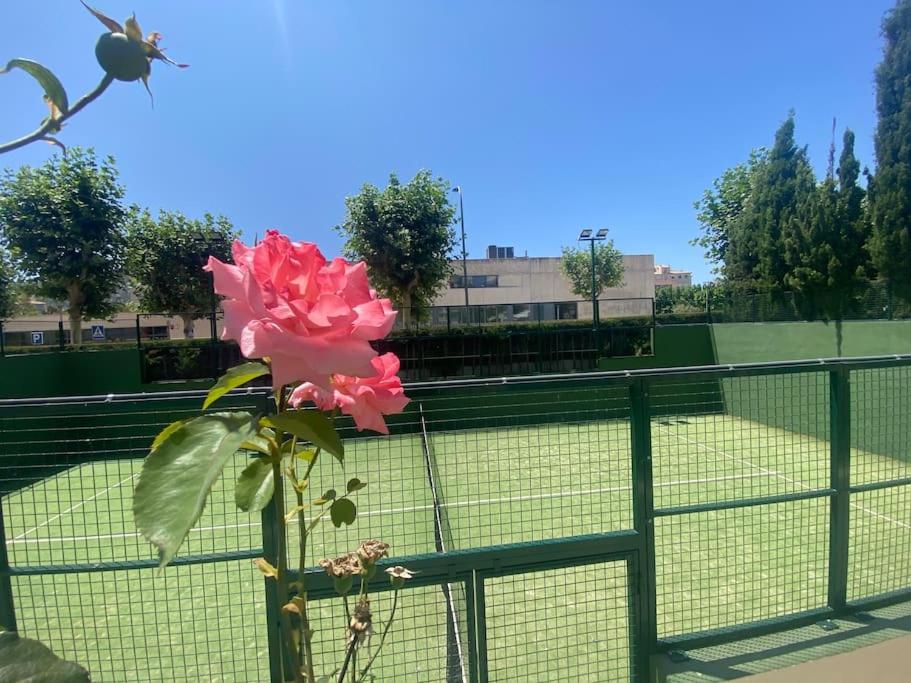 Apartamento Calalbir