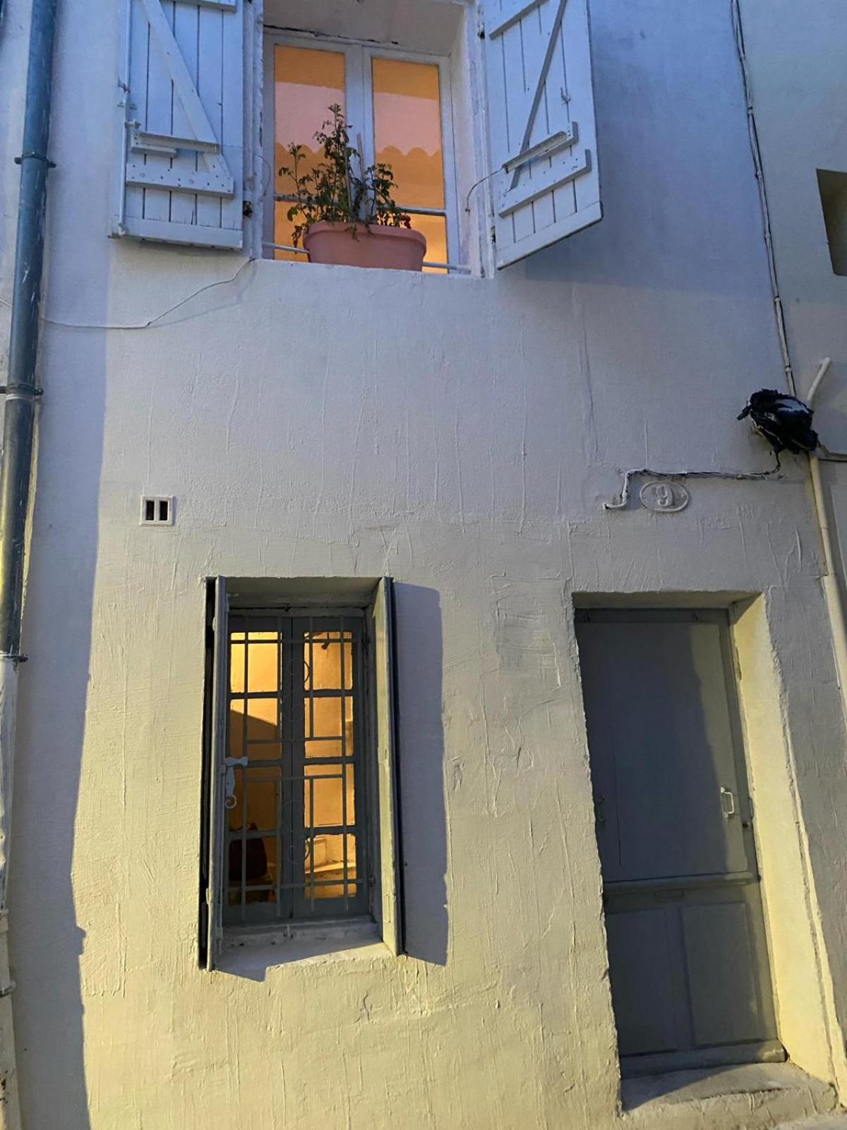 Tiny House 1, 2 ou 3 personnes SoeursGrises Béziers Centre Historique coeur de l'Hérault Occitanie, plus vieille ville de France, chemin de Compostelle
