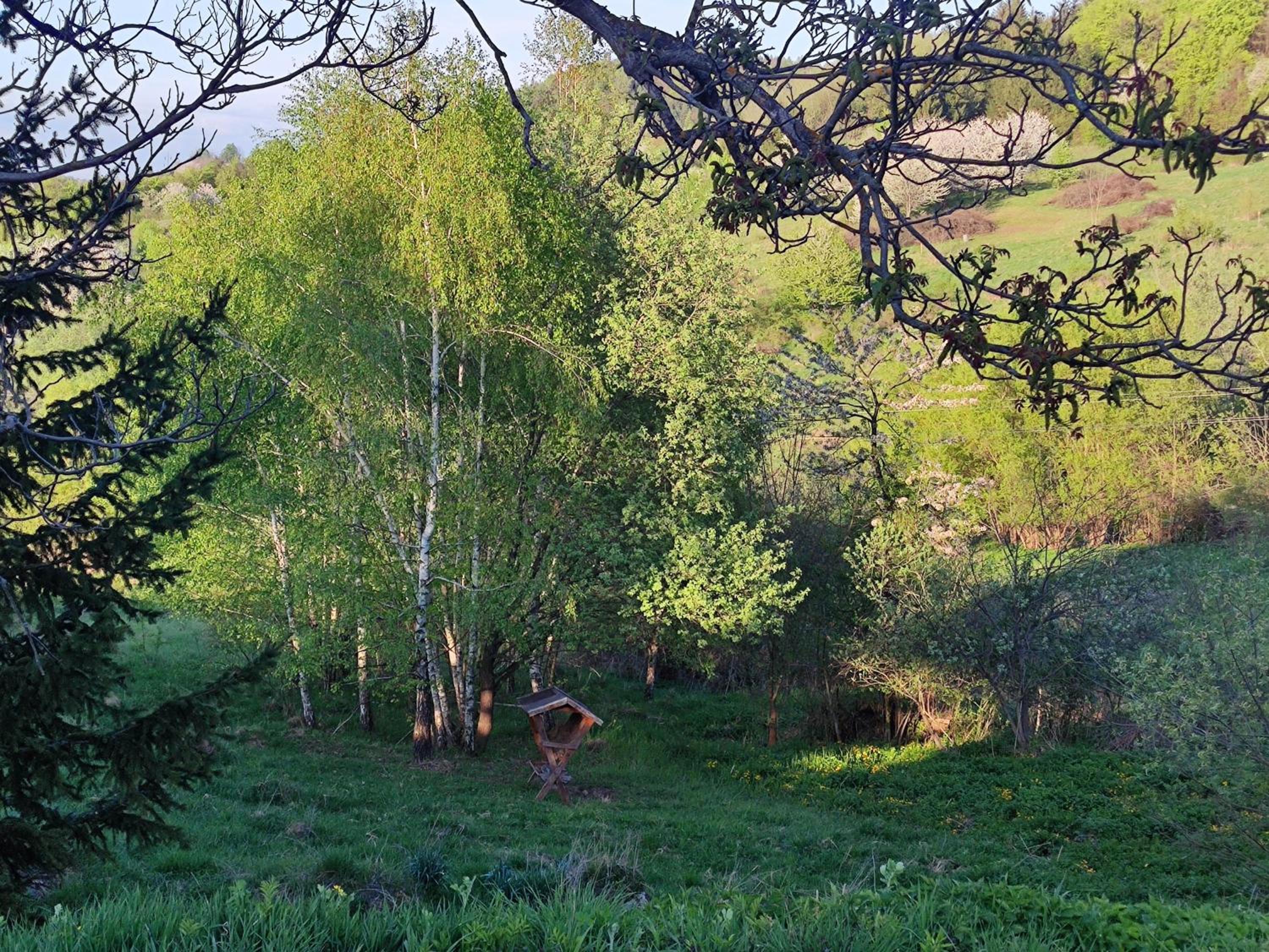 Photo 20