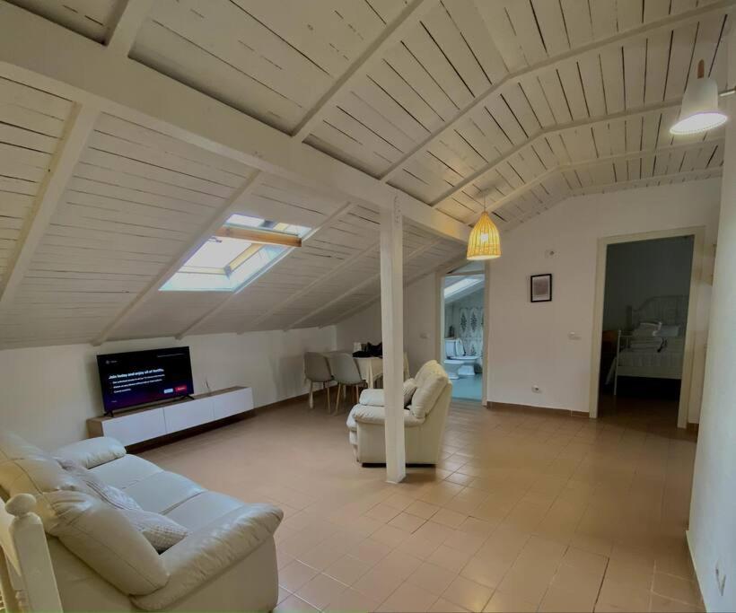 Cozy attic with terrace