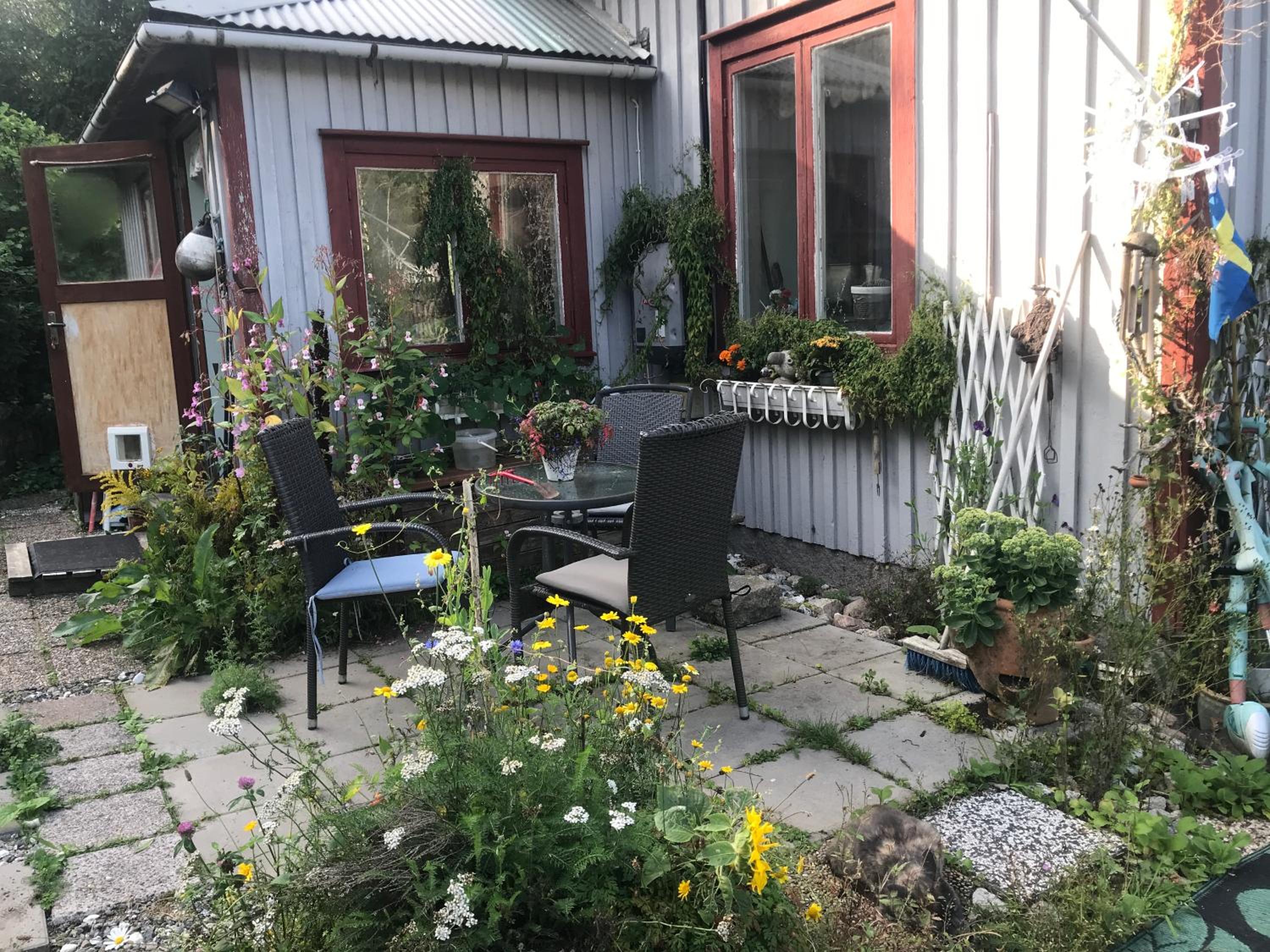Photo 17
