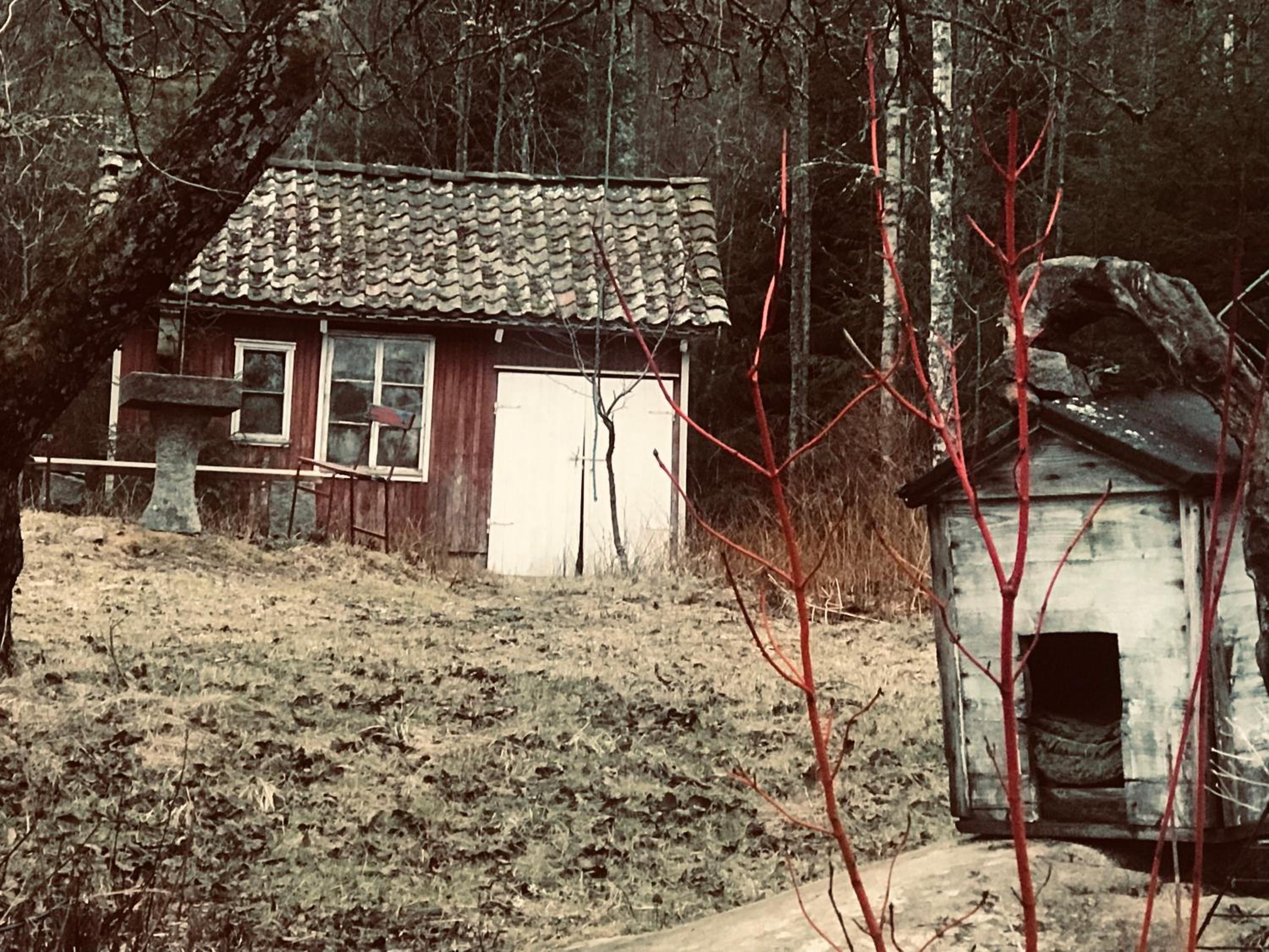 Photo 19