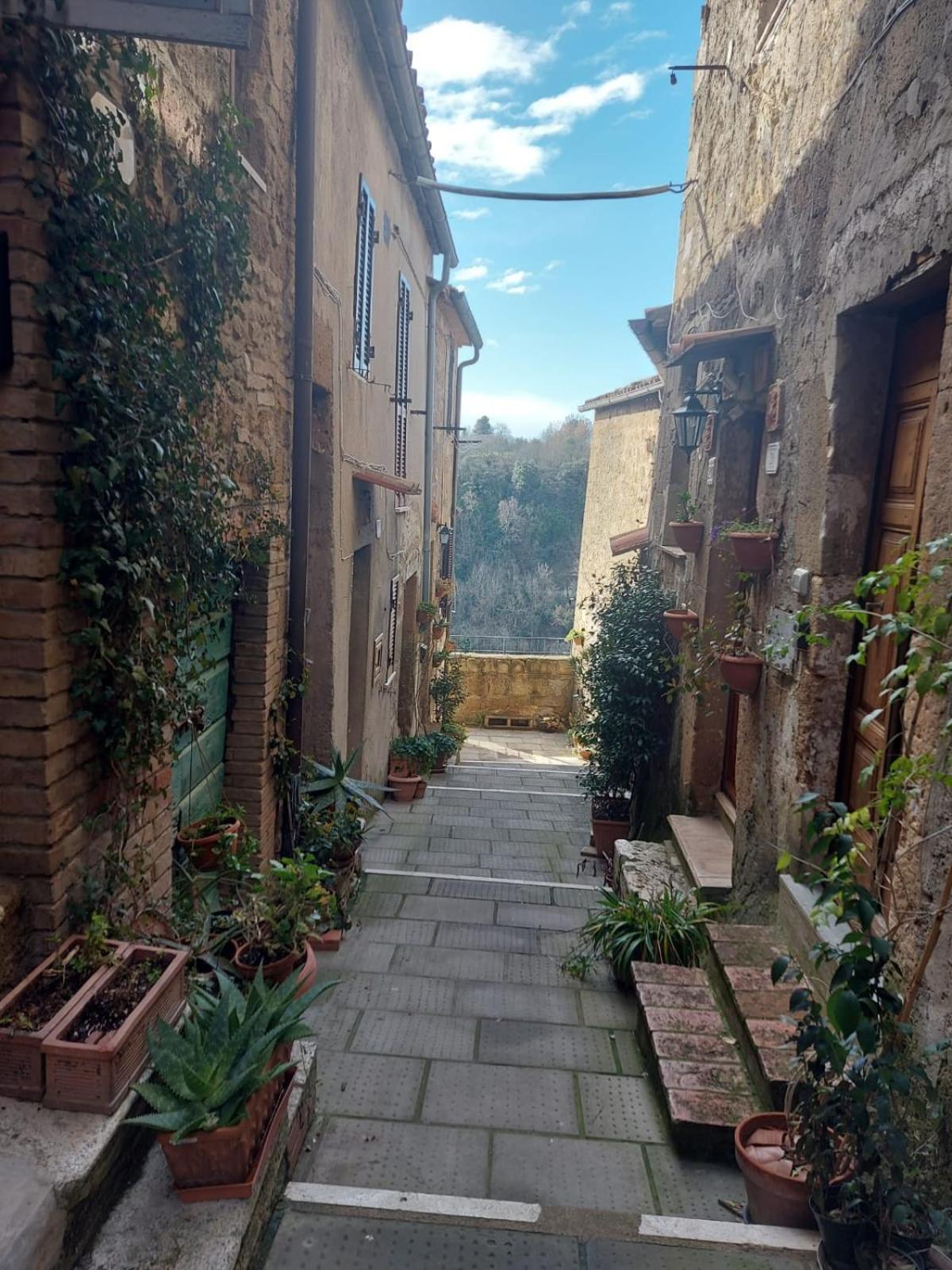 Photo 38