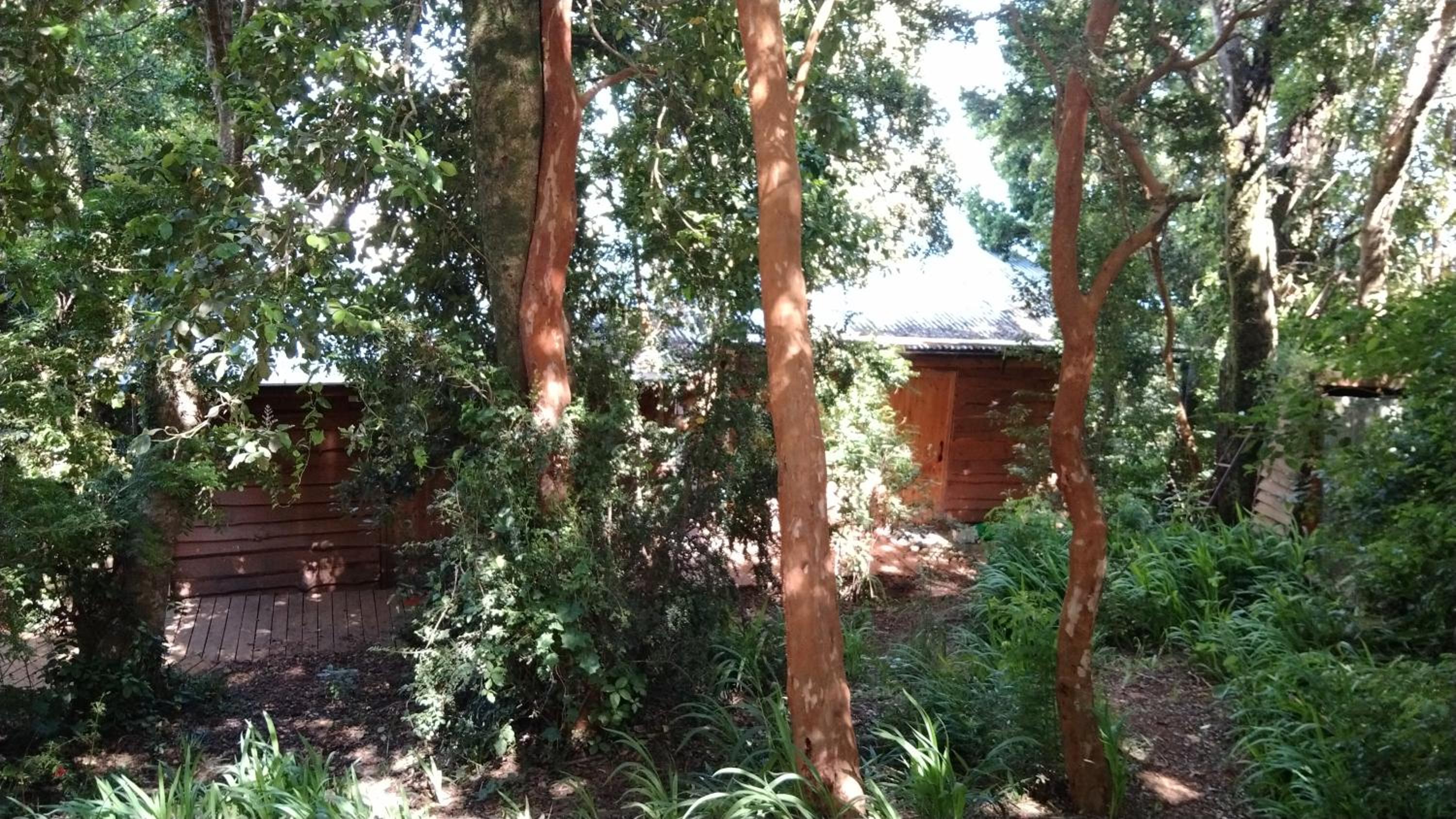 Photo 45