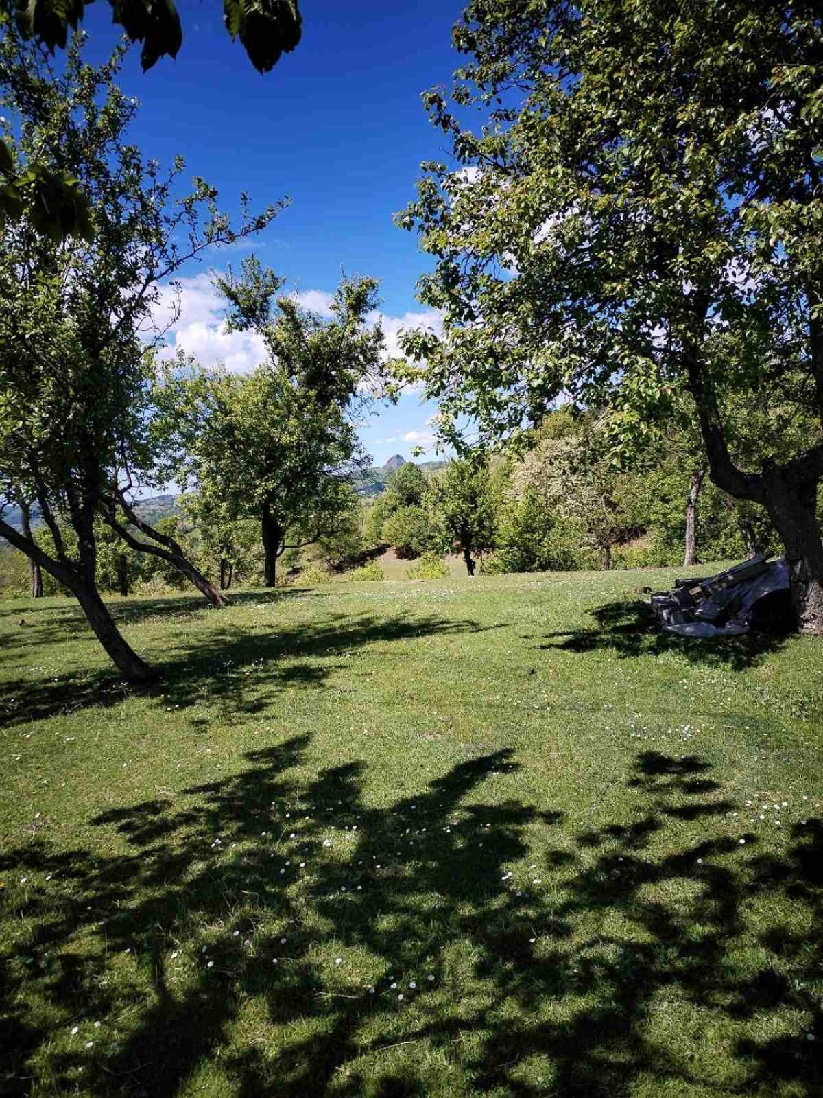 Vila Zvezdane večeri