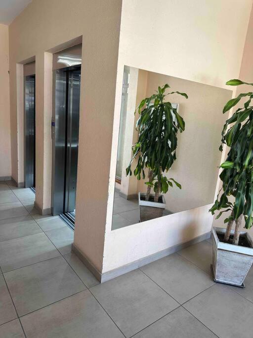 Cálido y céntrico departamento 1 opcional cochera