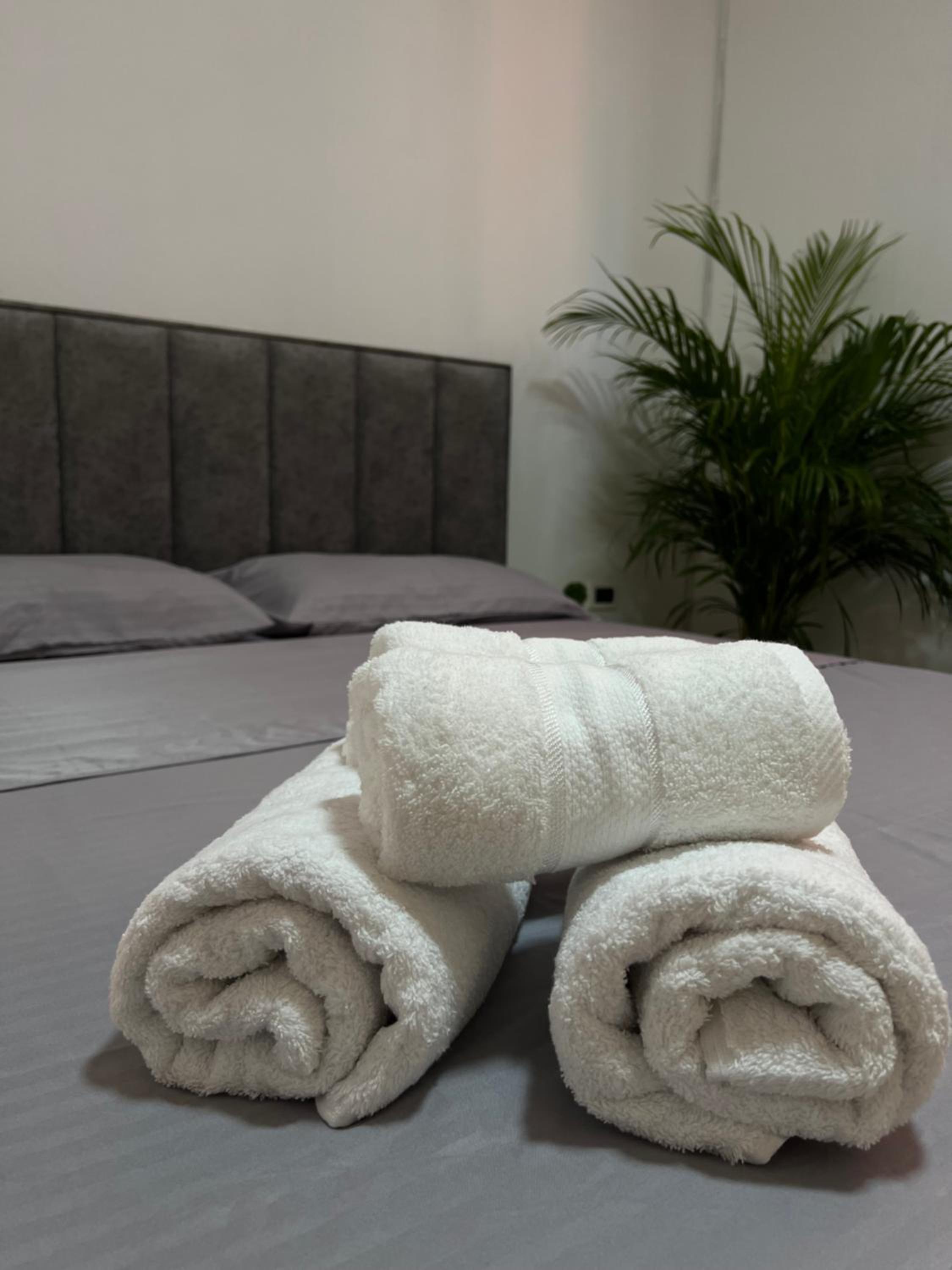 Hostel by Fenix Tirana