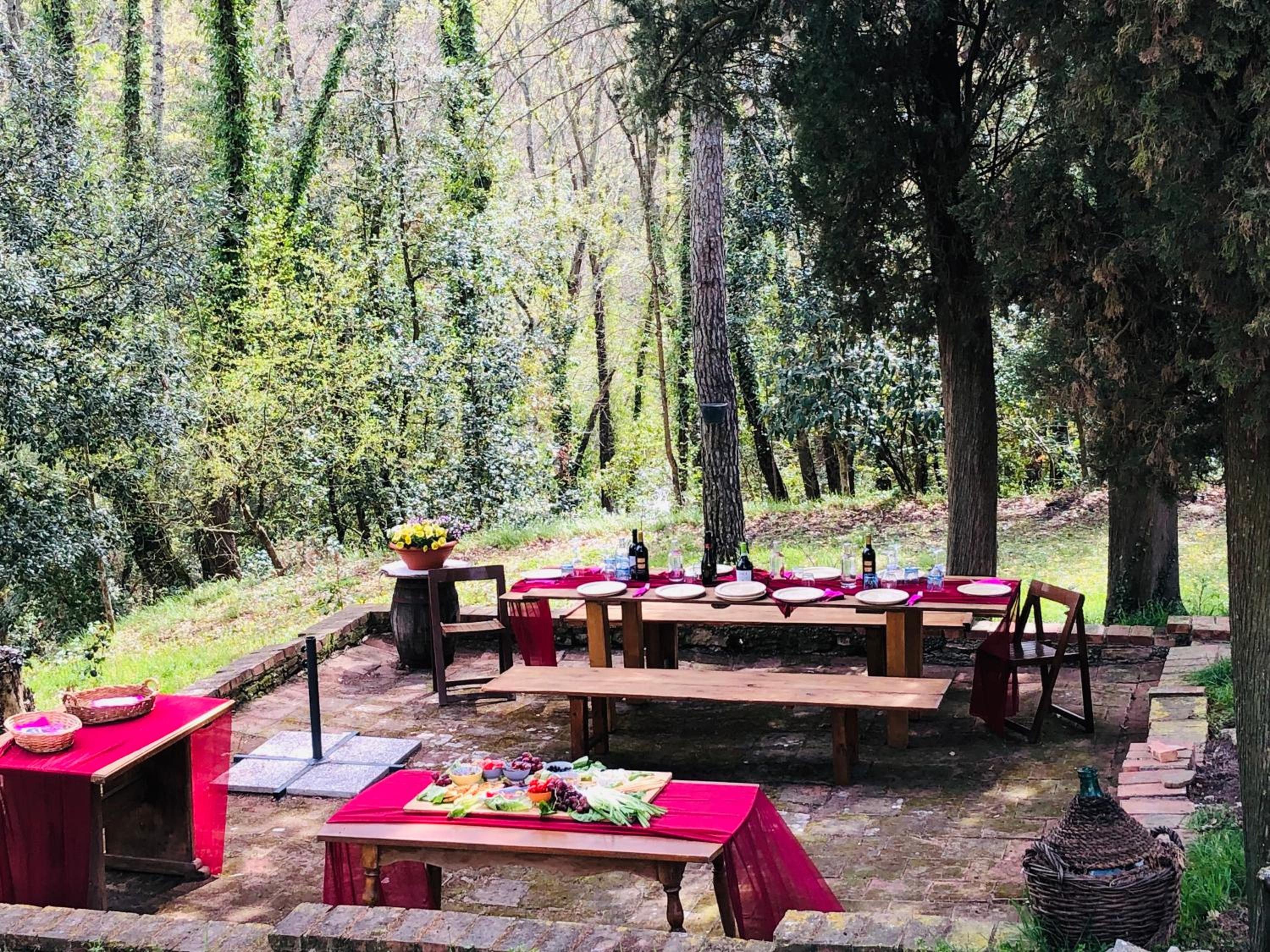 Il Bosco del Lebbio