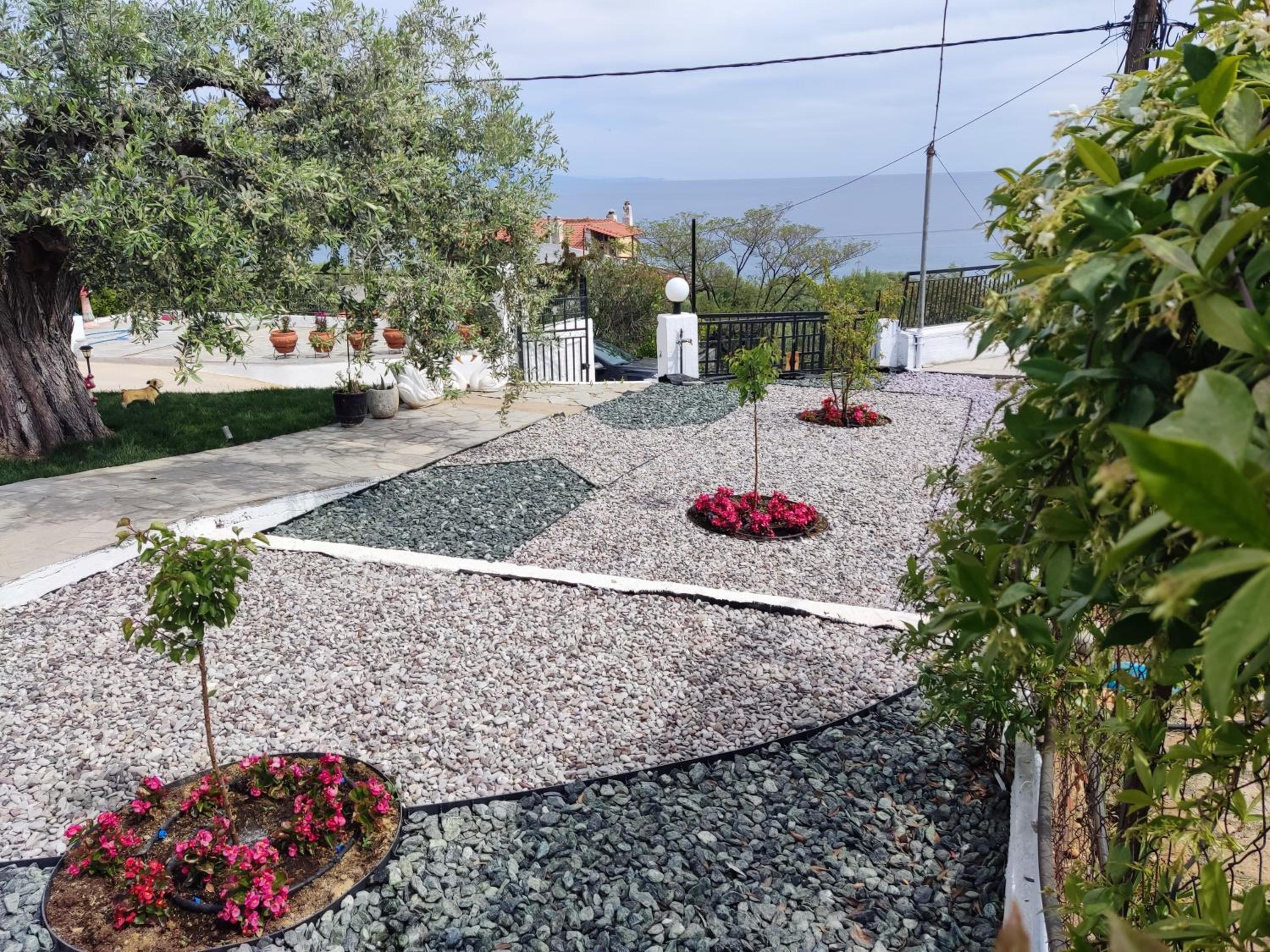Villa Alexandra