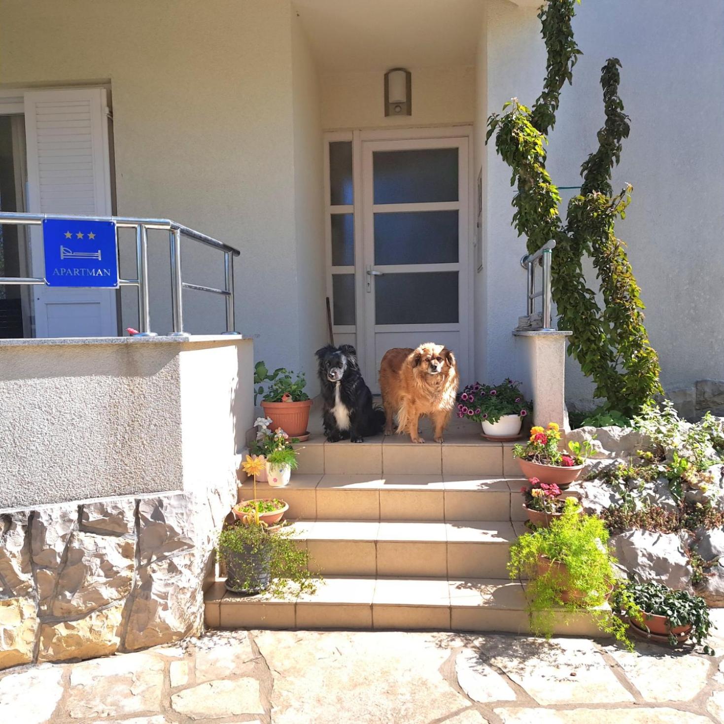 Apartman Petra