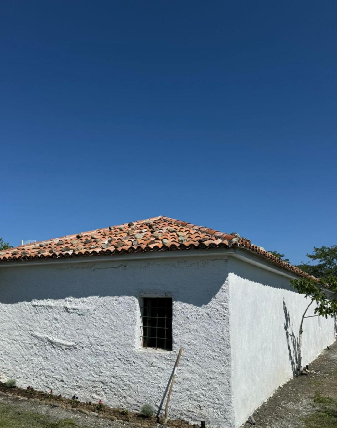 Guesthouse Vitoria - Mrizi i Zanave photo 3