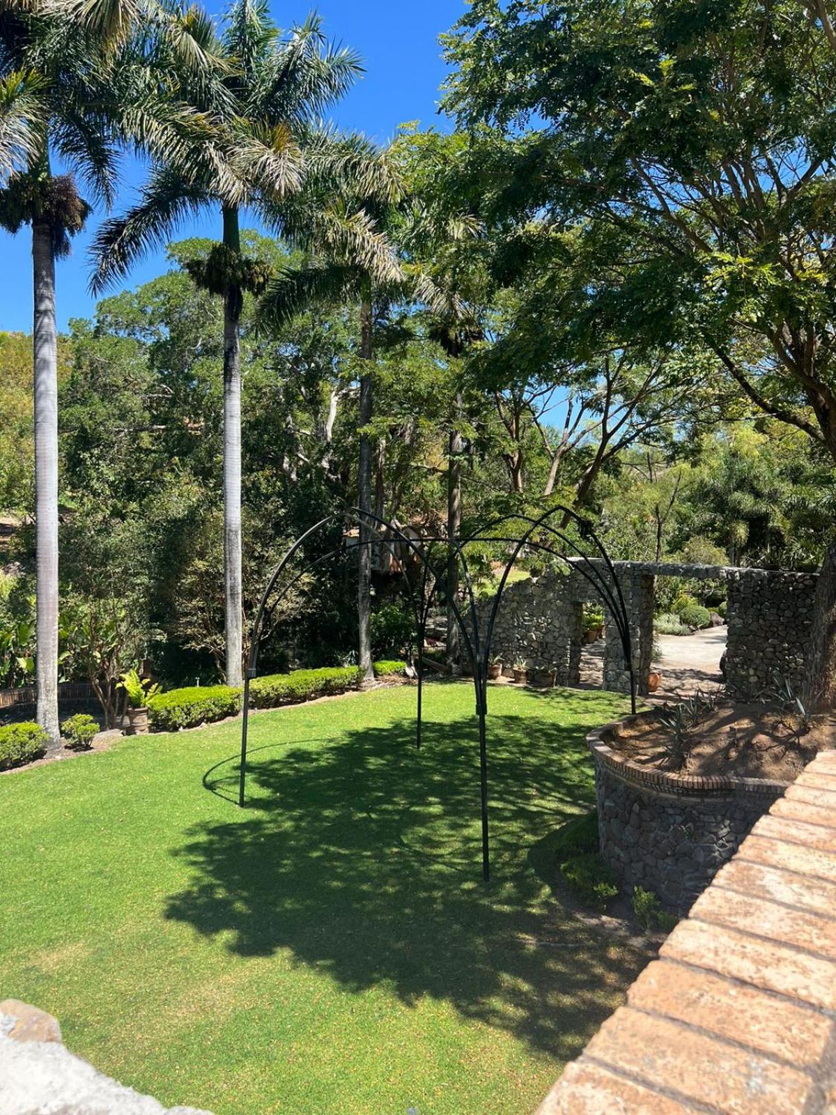 Photo 12