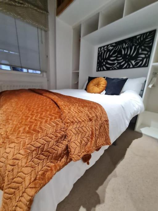 Stunning central London flat