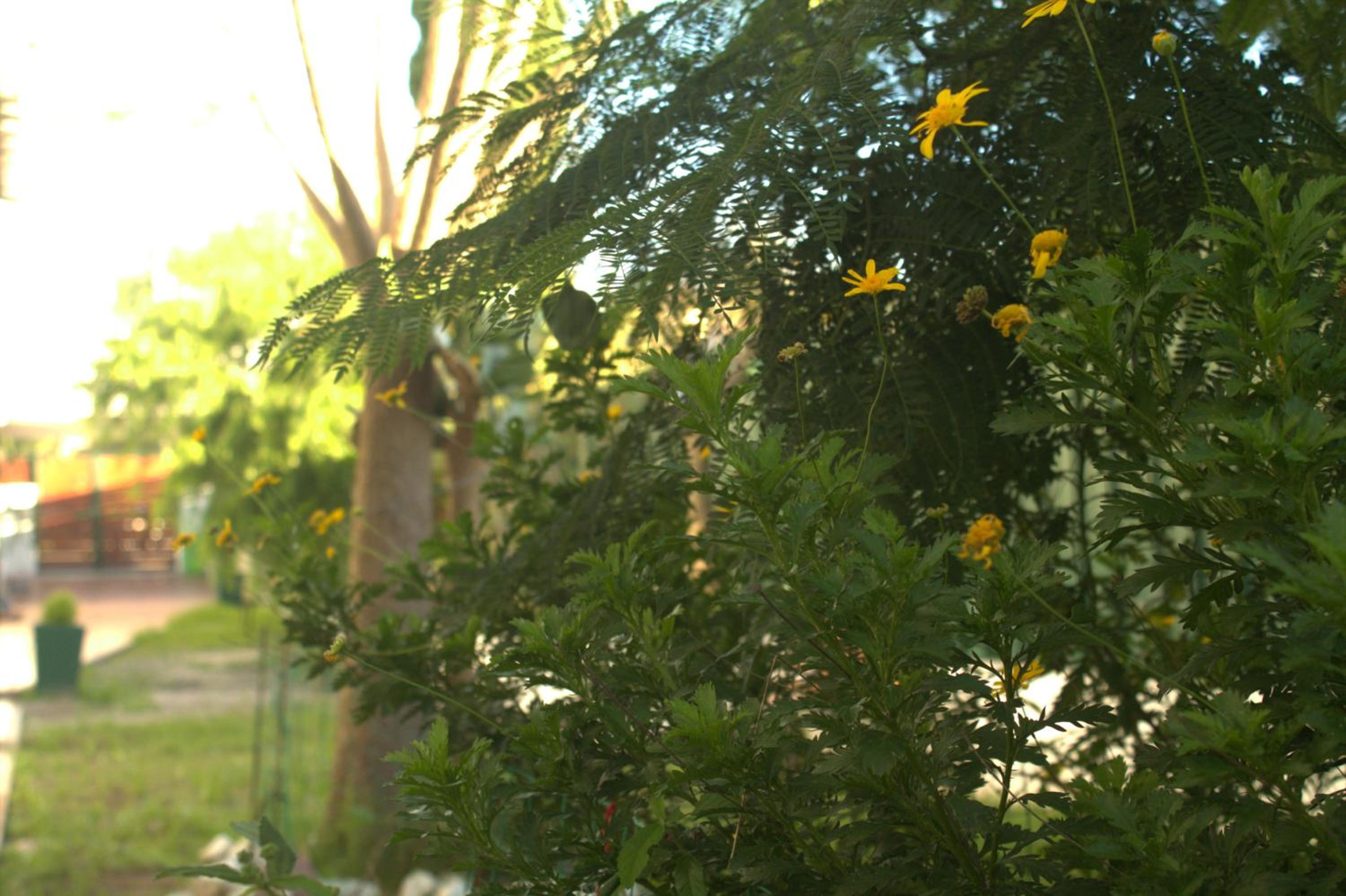 Photo 43