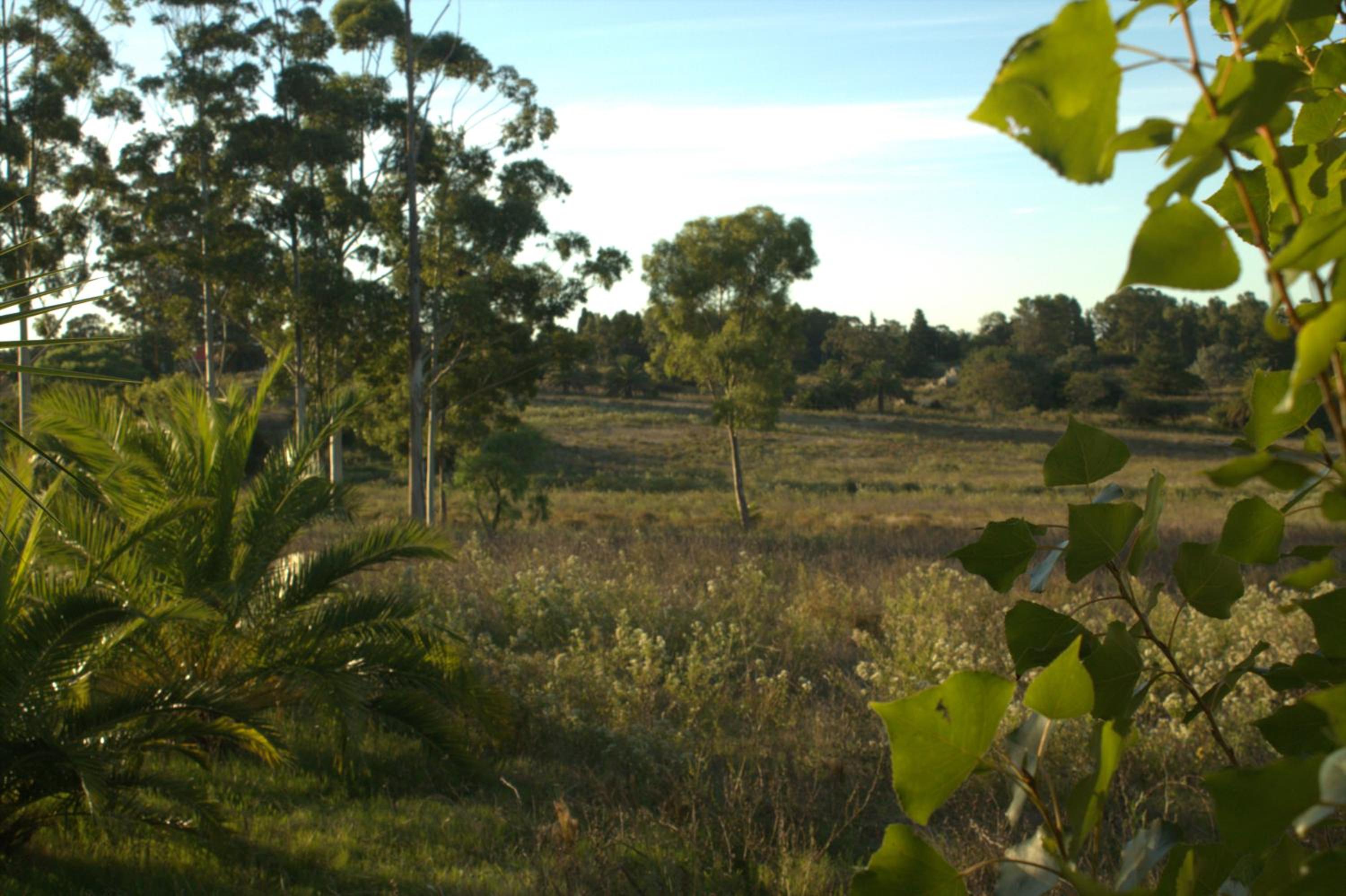 Photo 49