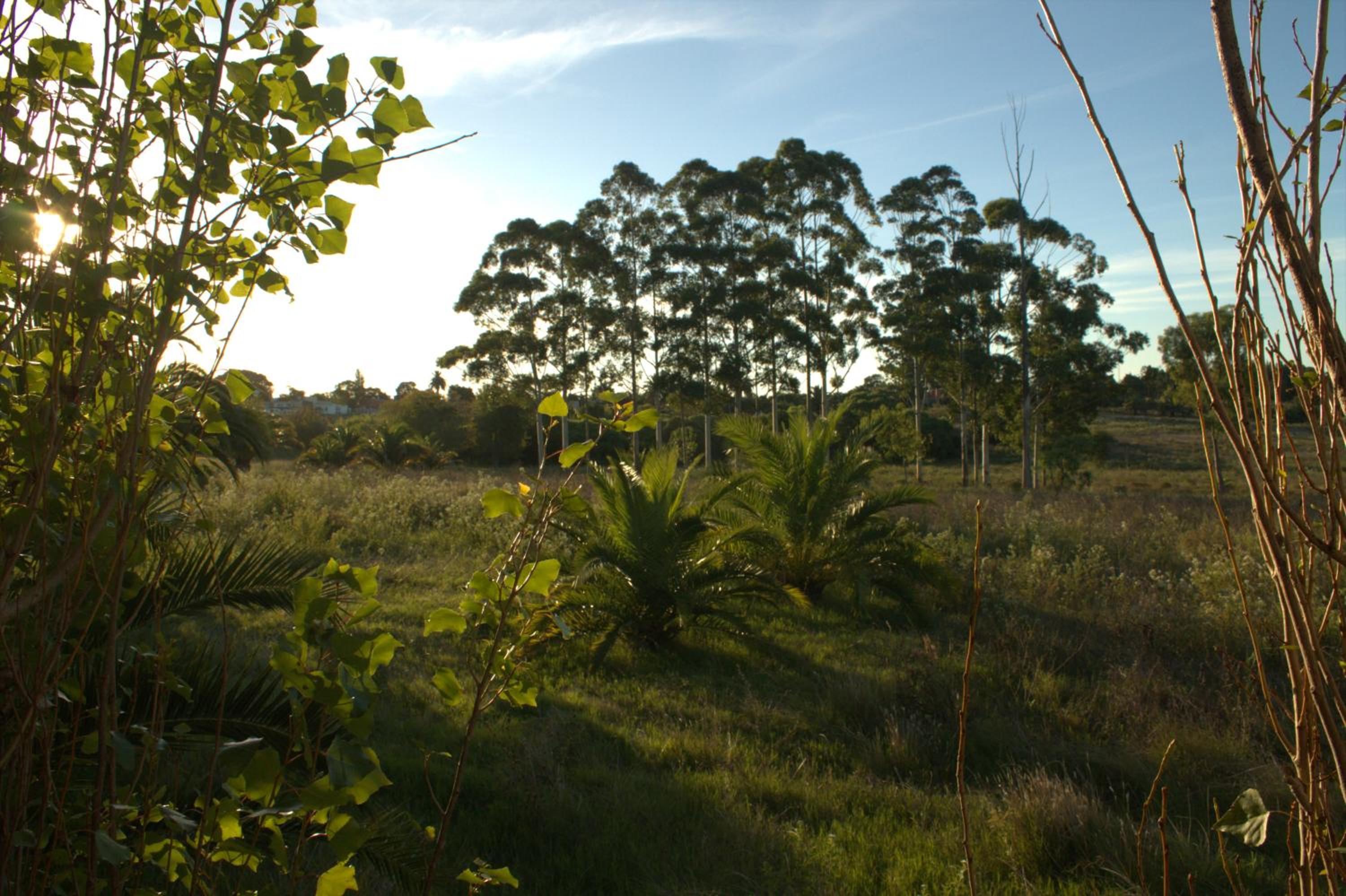 Photo 52