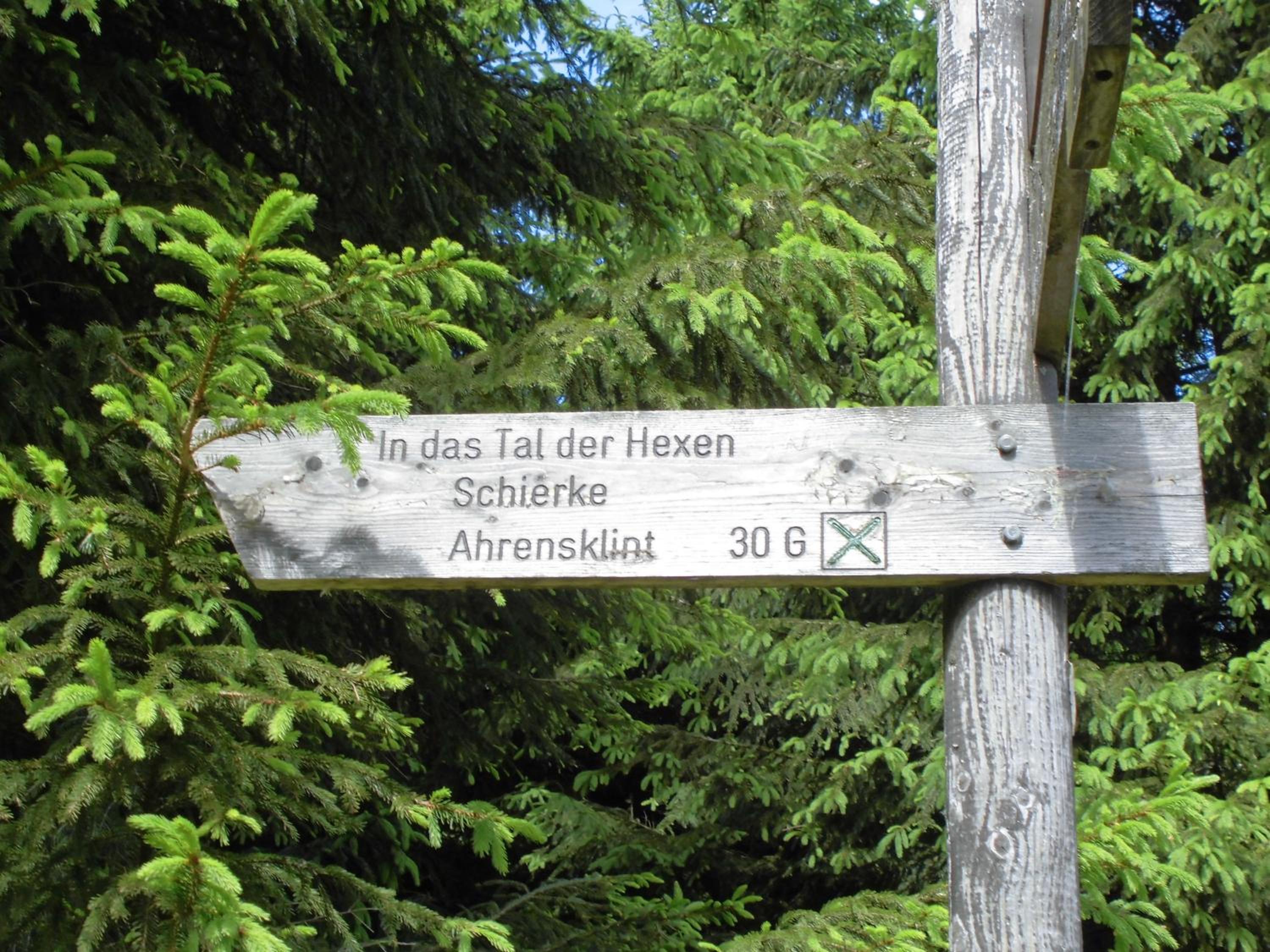 Photo 24
