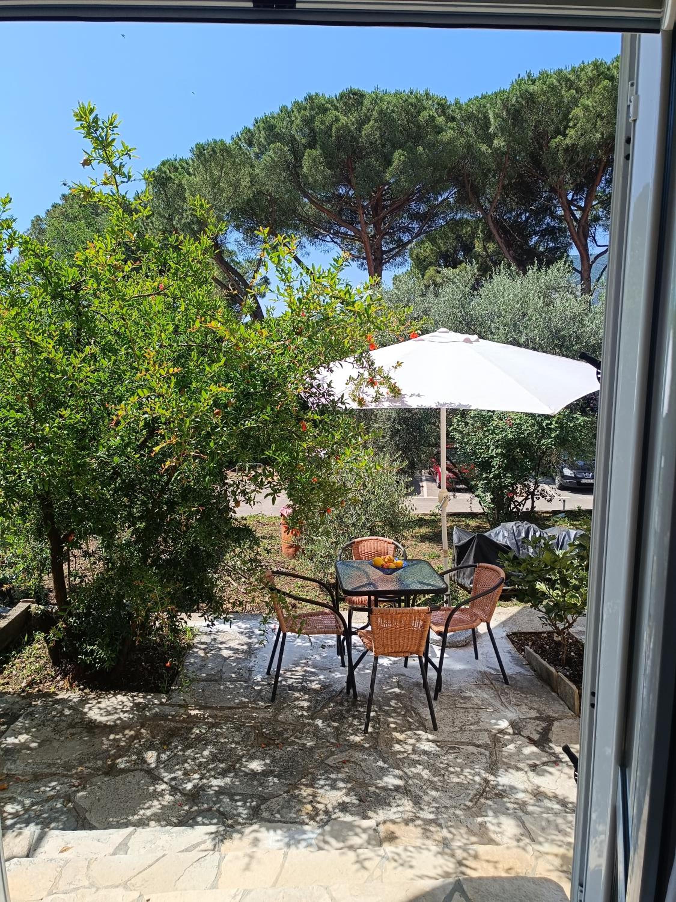 Apartmani TOPLA Zloković -A2 view 3