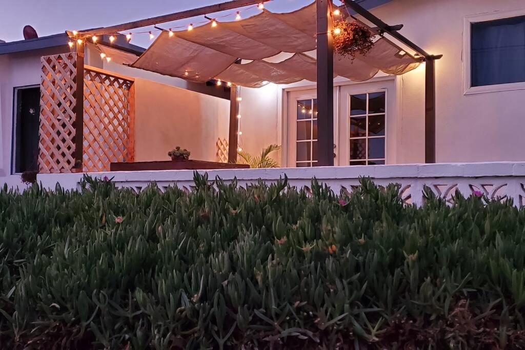 CASA SURF - BEACHFRONT LIVING view 4