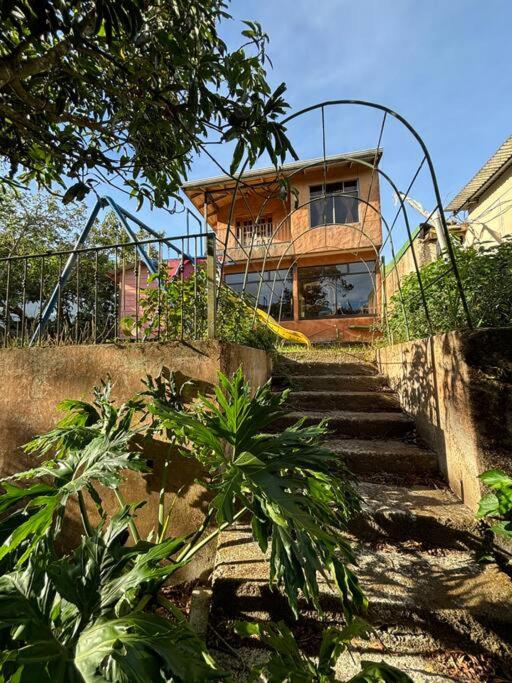 Treetops Apartment