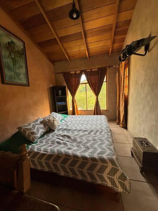 Treetops Apartment