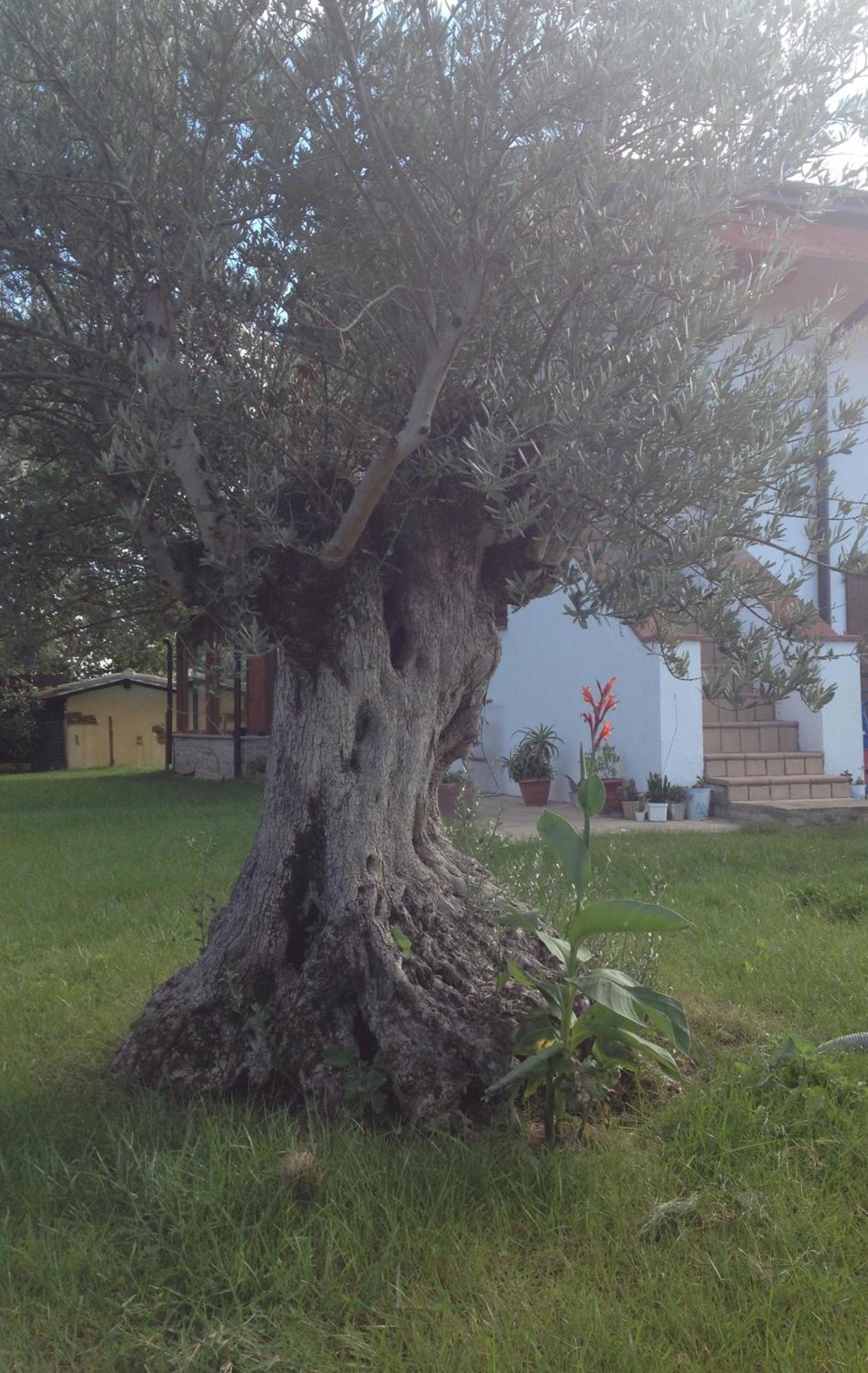 Photo 34