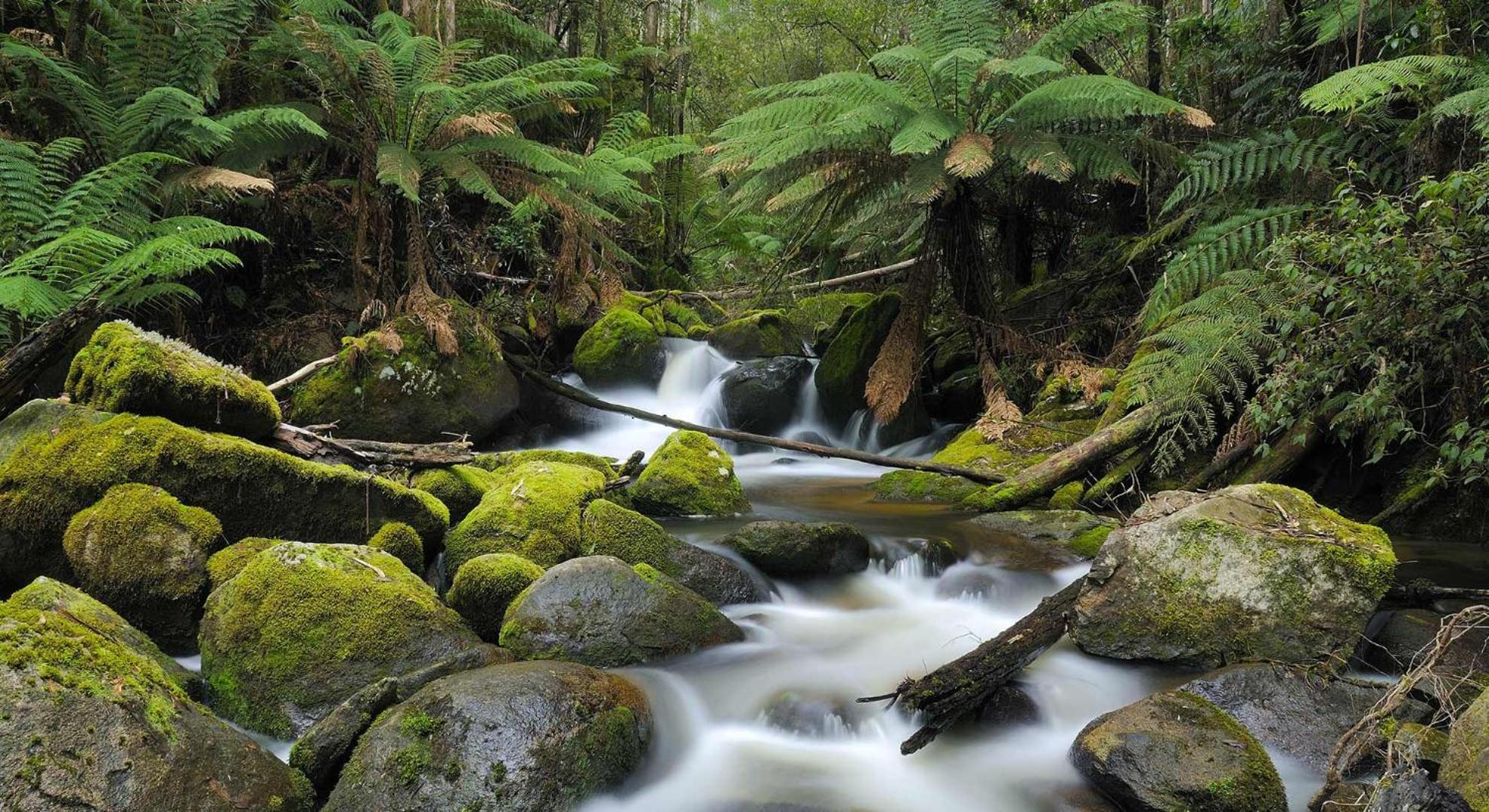 Luxury Truffle Farm Stay Near Melbourne with Stunning Views Scotch Hill