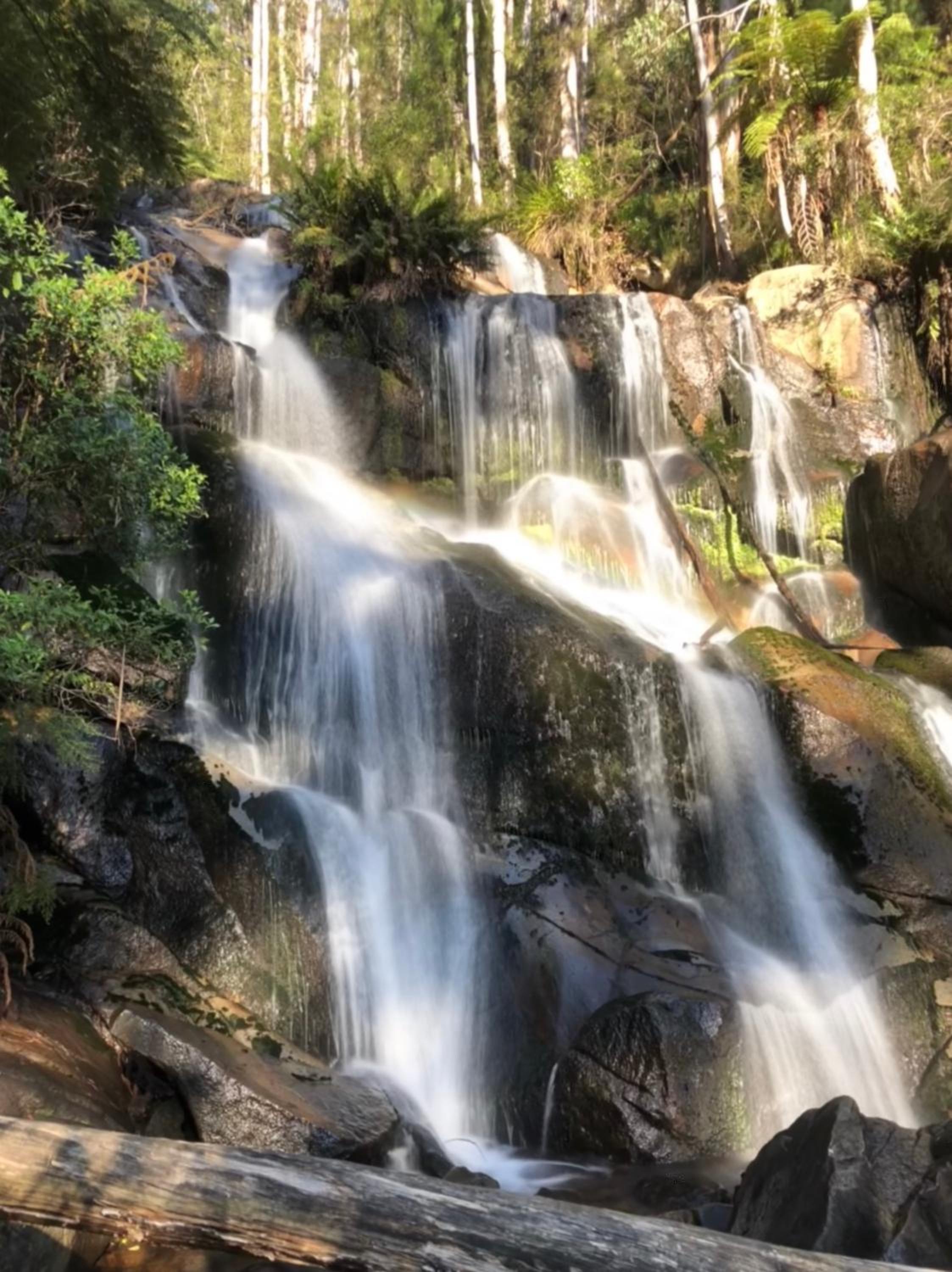 Luxury Truffle Farm Stay Near Melbourne with Stunning Views Scotch Hill