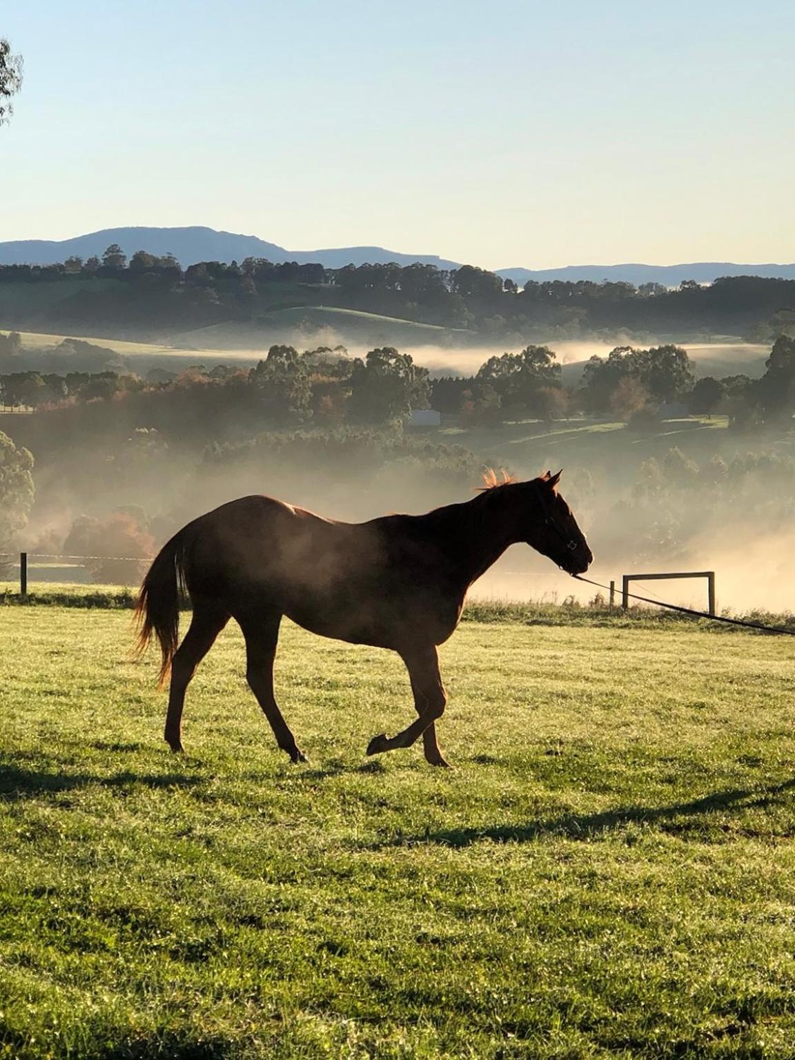Luxury Truffle Farm Stay Near Melbourne with Stunning Views Scotch Hill