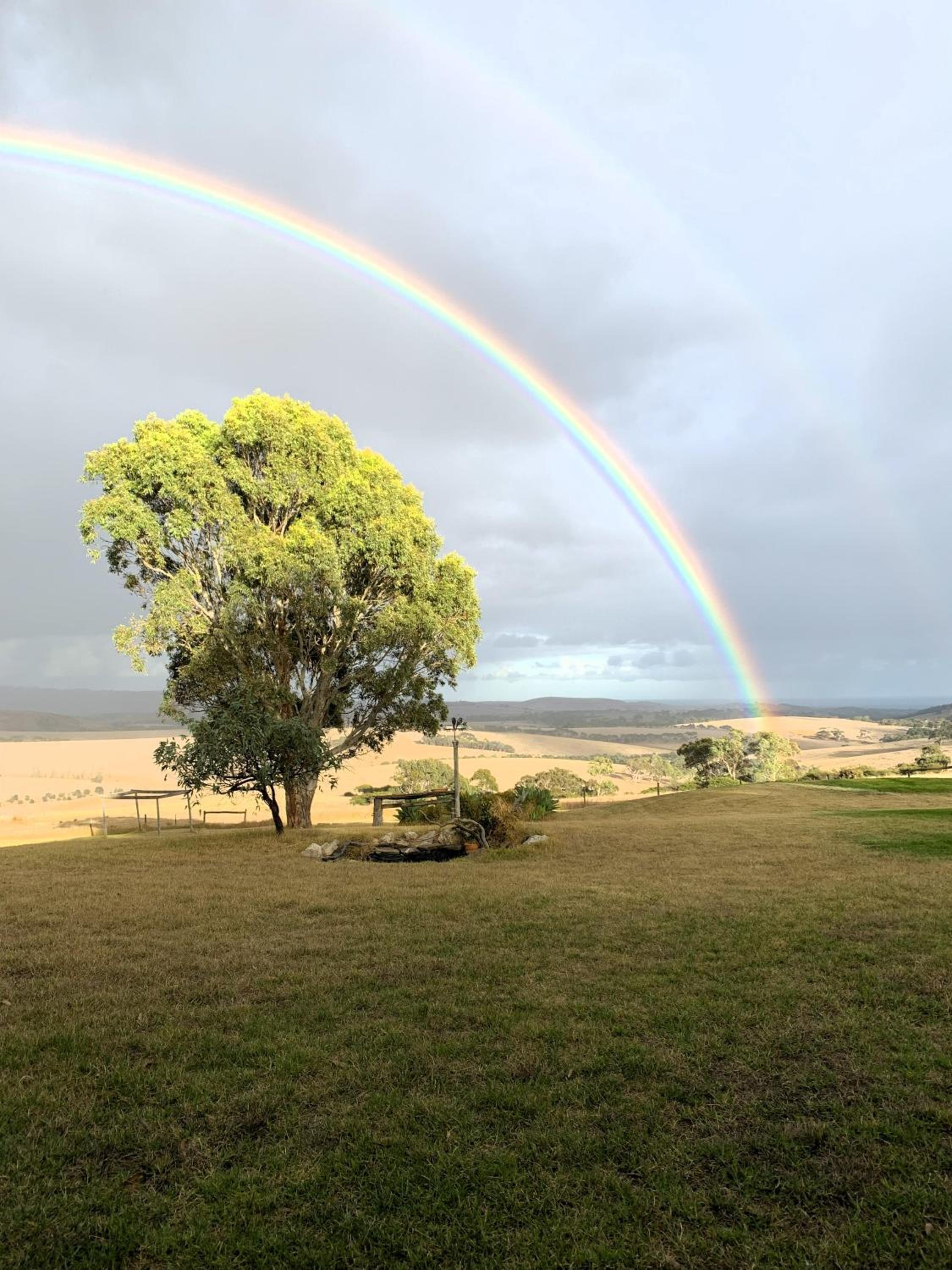 Lush Pastures