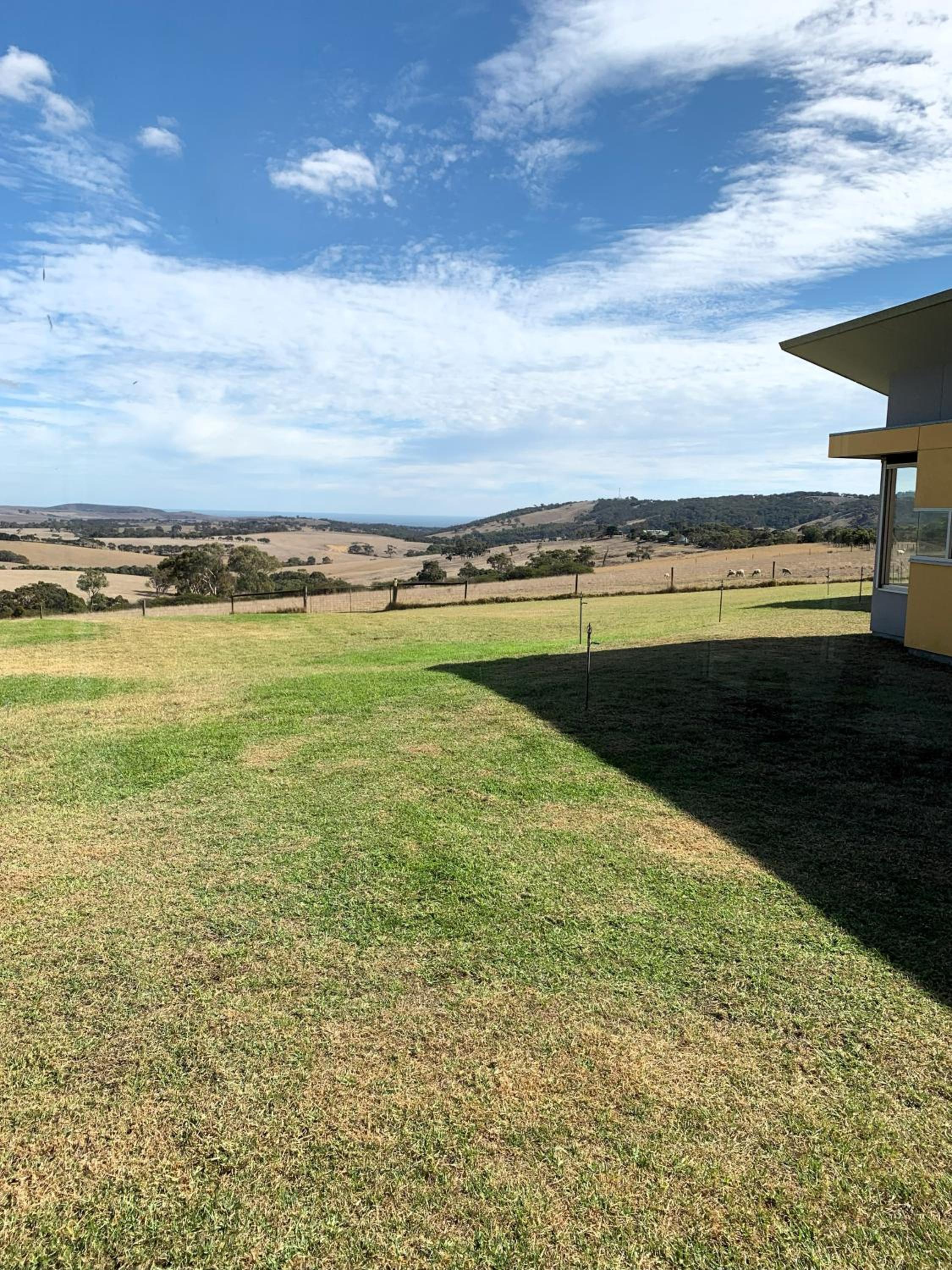 Lush Pastures