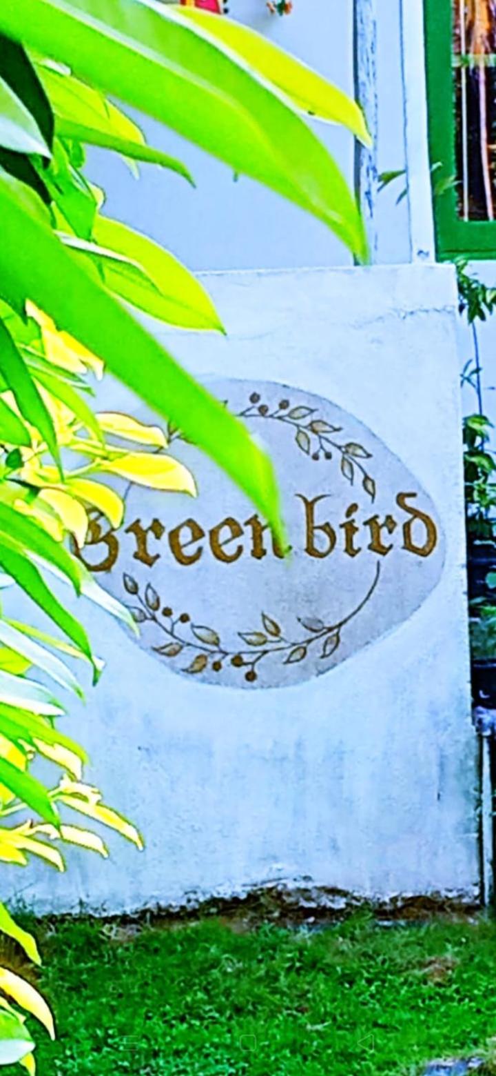 Green Bird