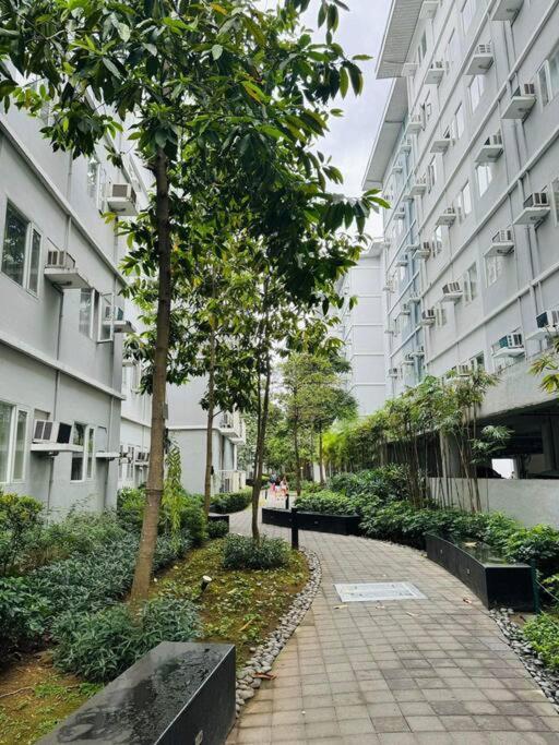 #48 Trees Residences view 4