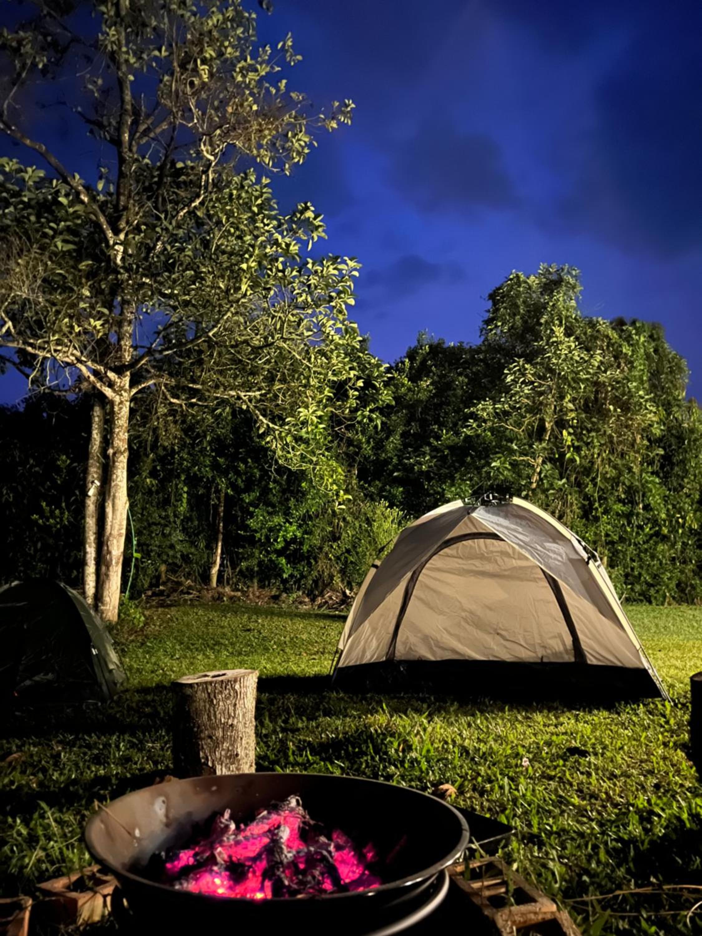 Finca la Flor del Café