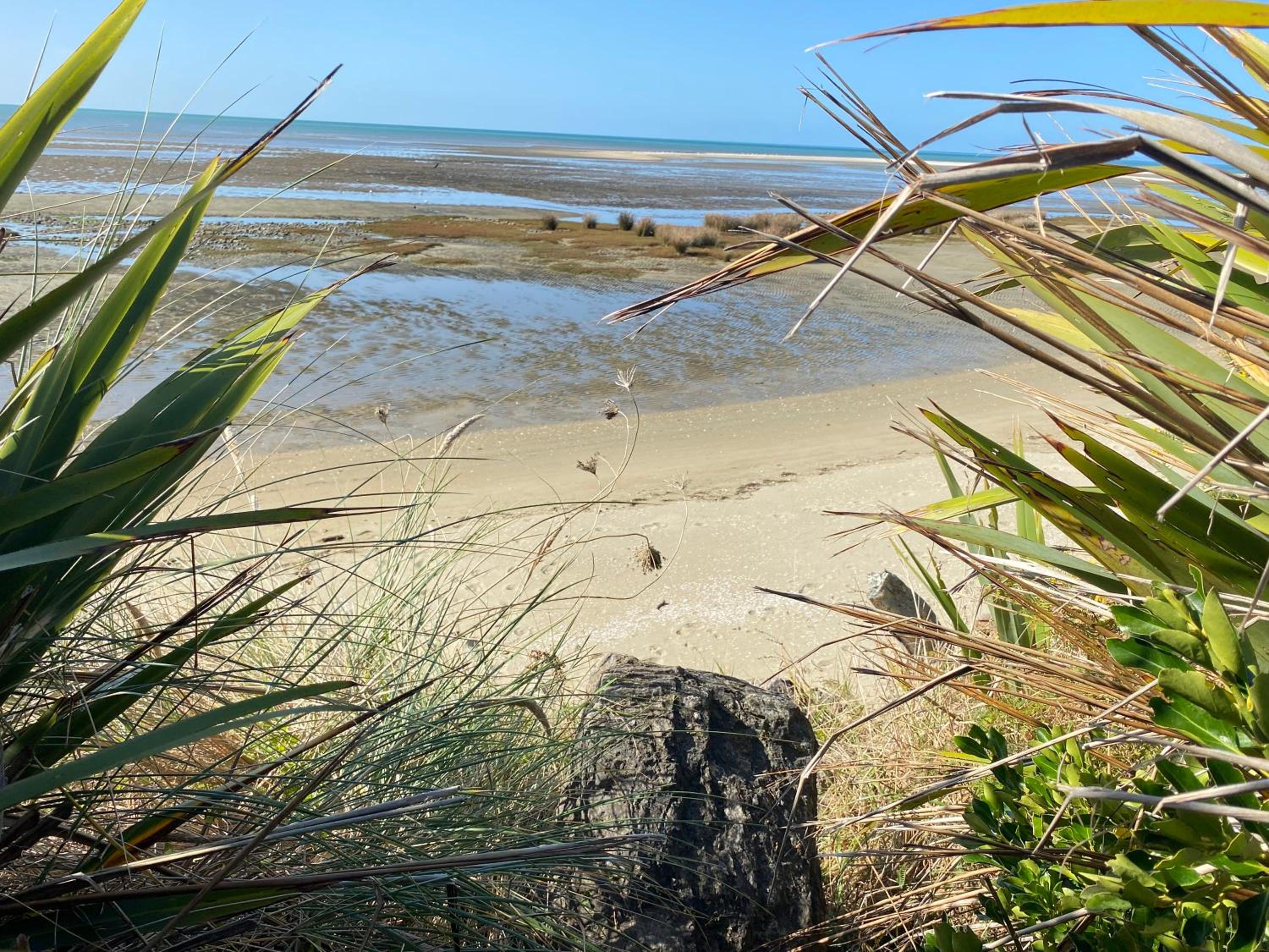 The Cockle - Private Beach Abode