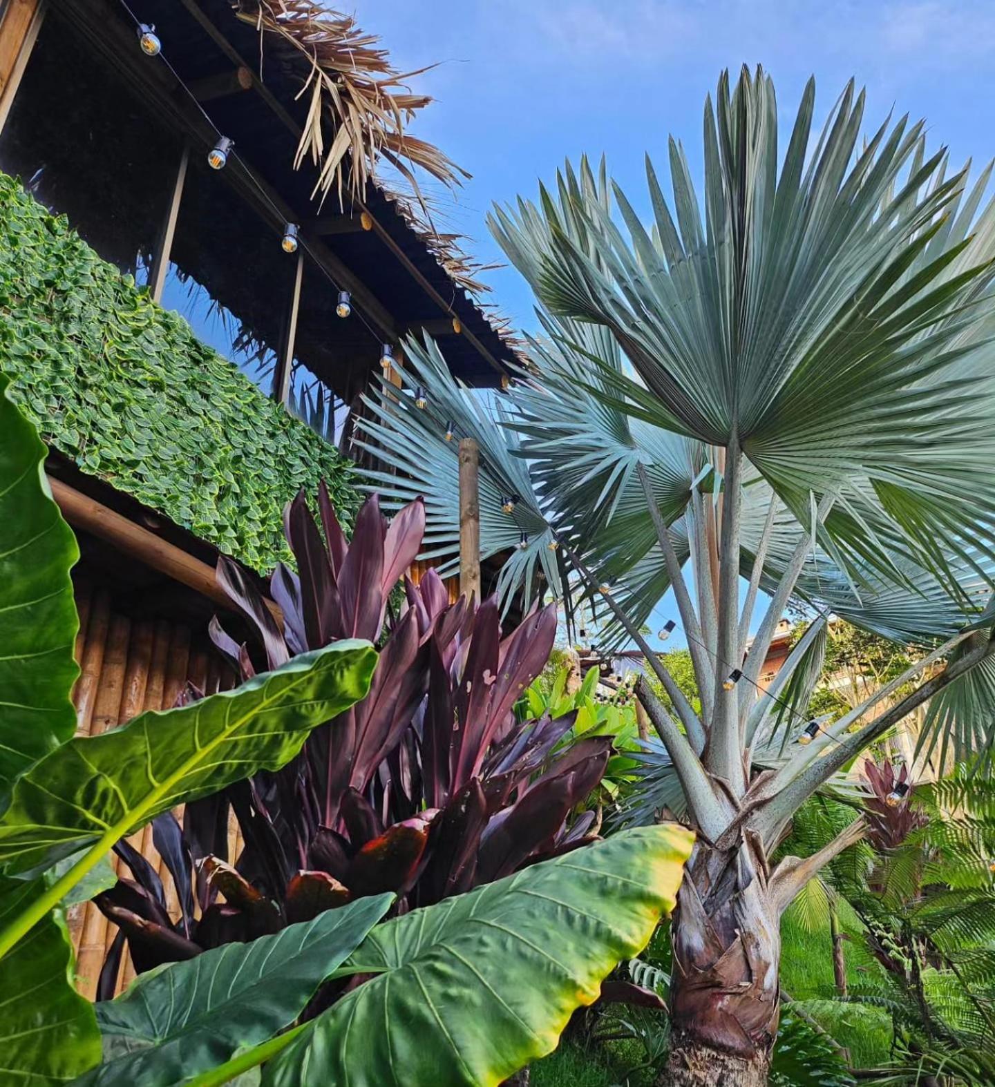 Eden Hotel