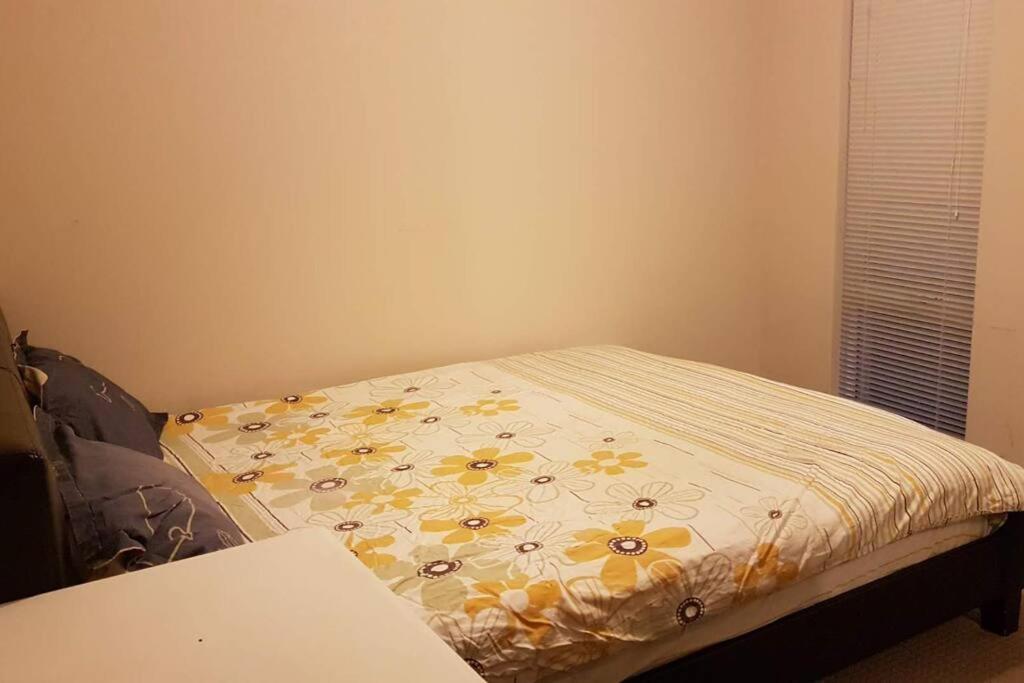 Nice and Neat House for your Journey - Renovated