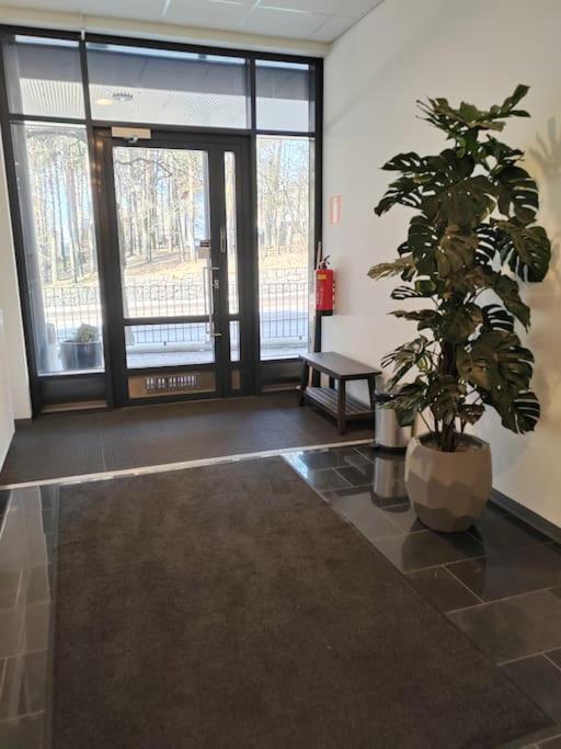 Keskustan tyylikkäin studio omalla autopaikalla