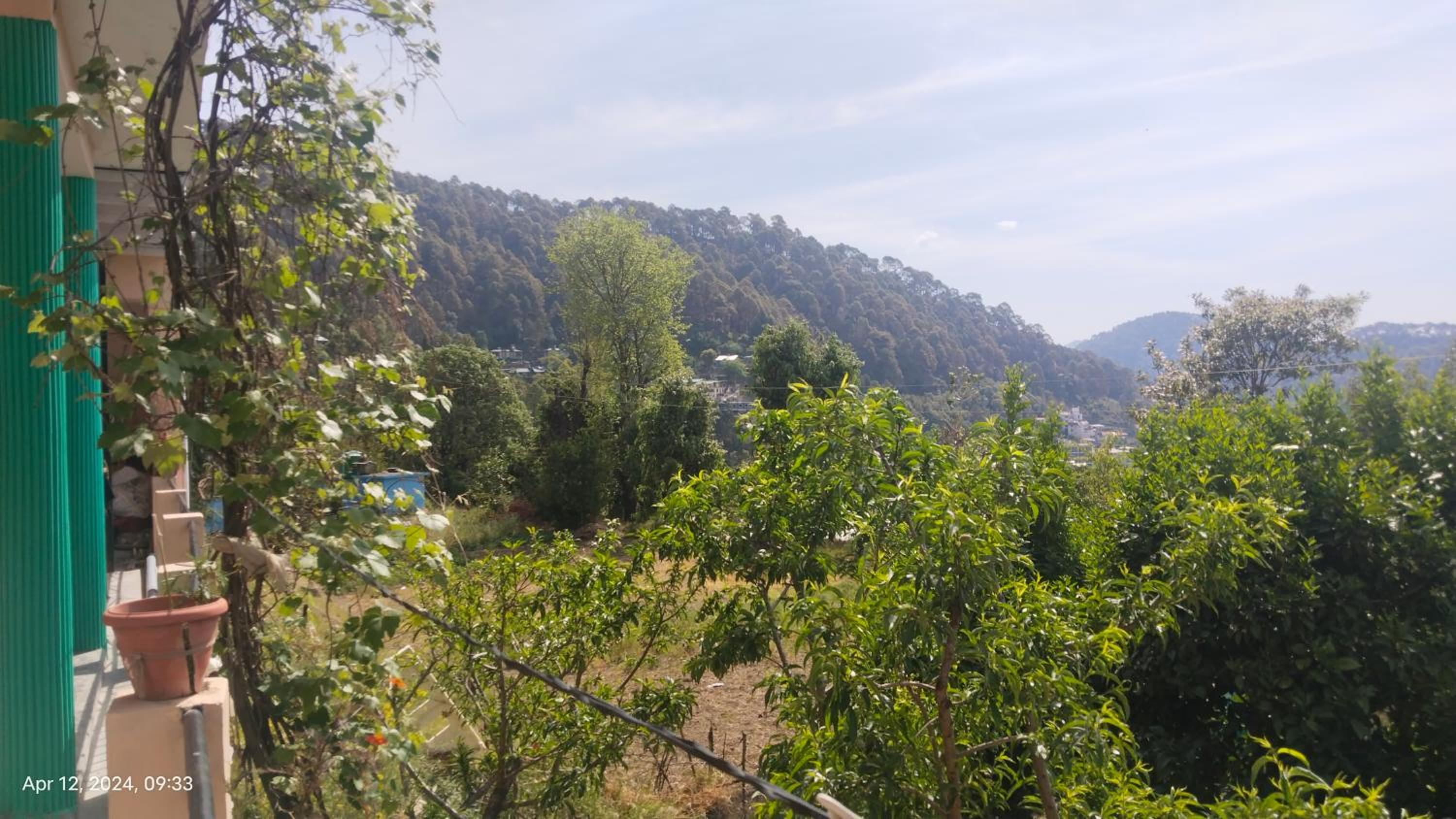 Photo 18