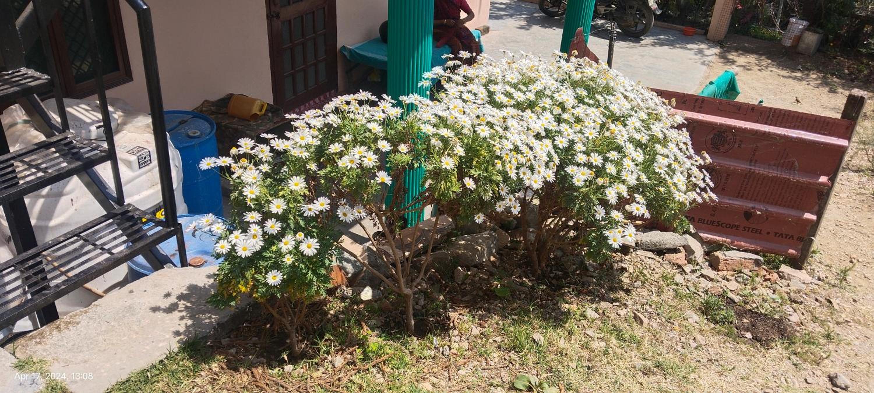 Photo 32