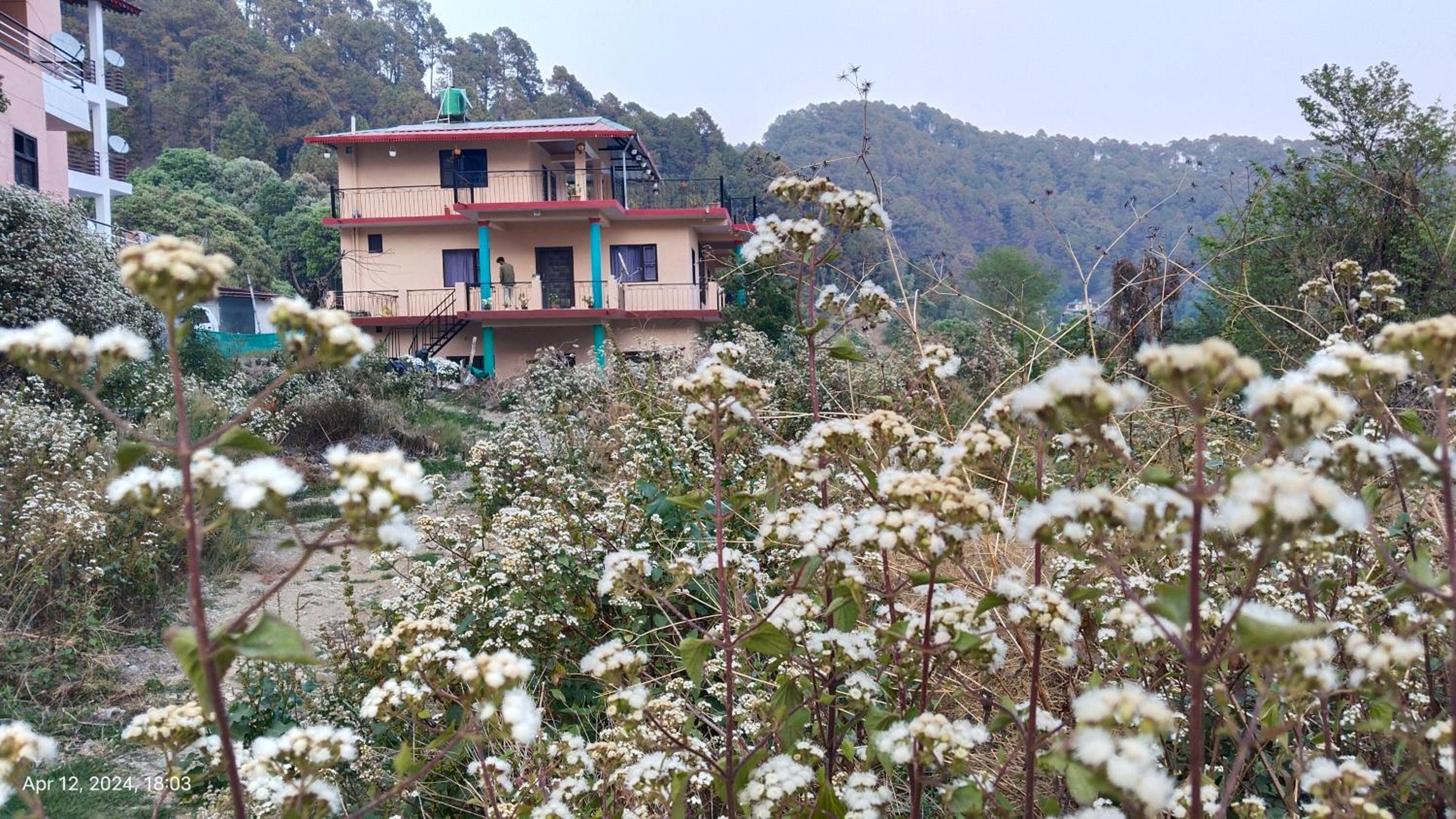 Hira Homestay view 2