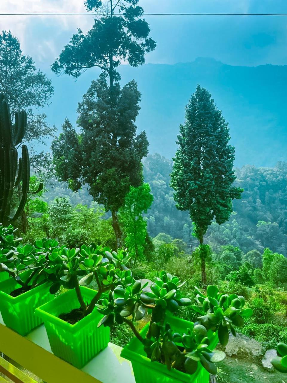 DUMZAN Homestay and Farm view 3